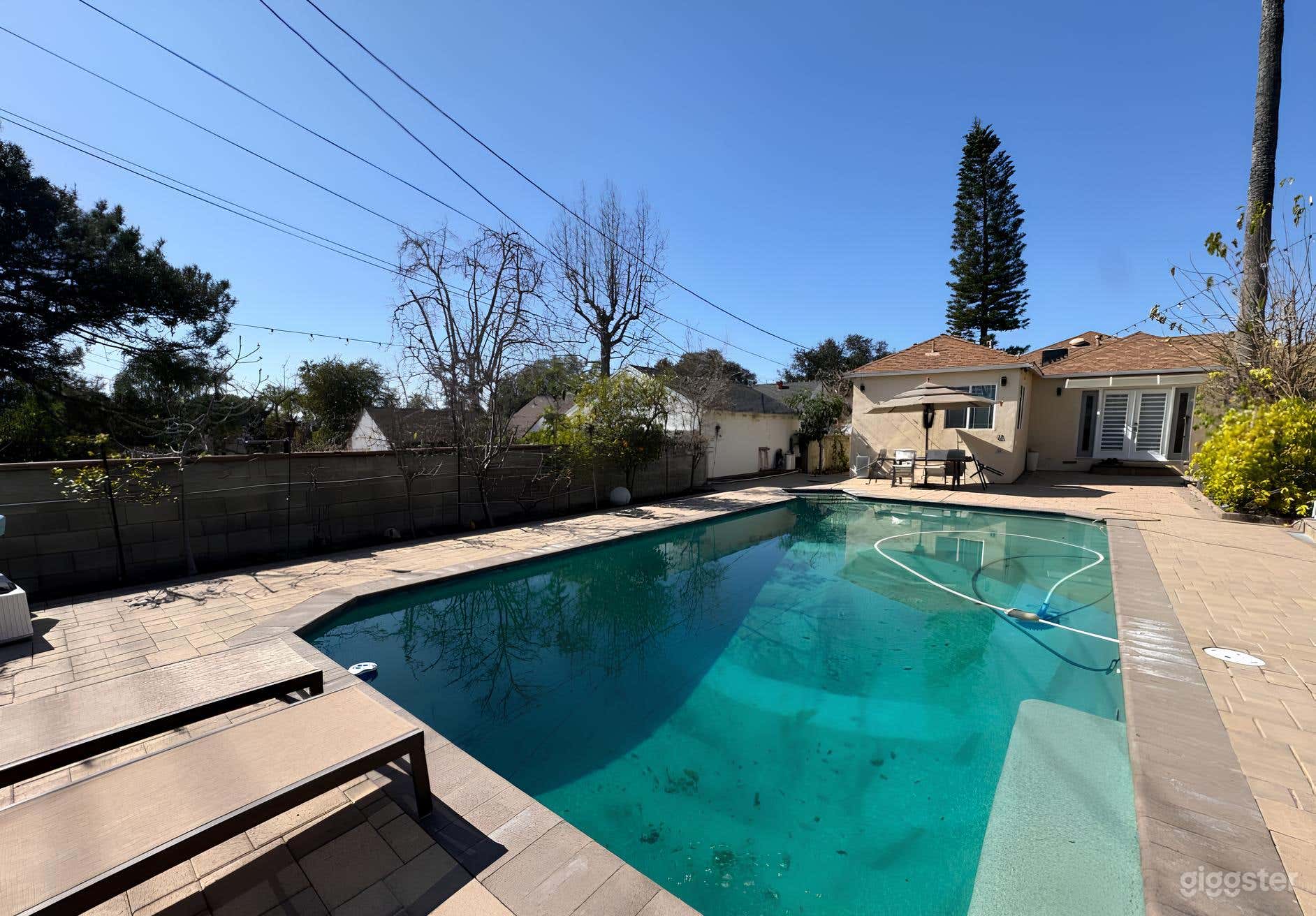 Beautiful Rectangular Pool Photo 1