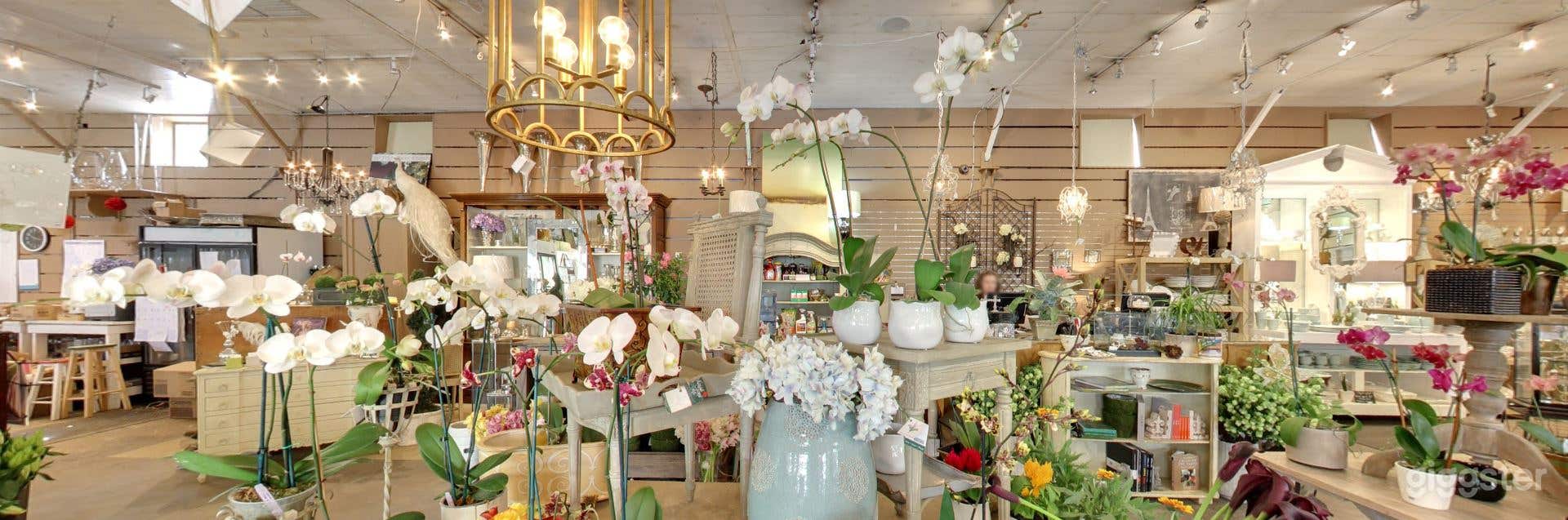 Troves and Fountain Pad  Photo 3