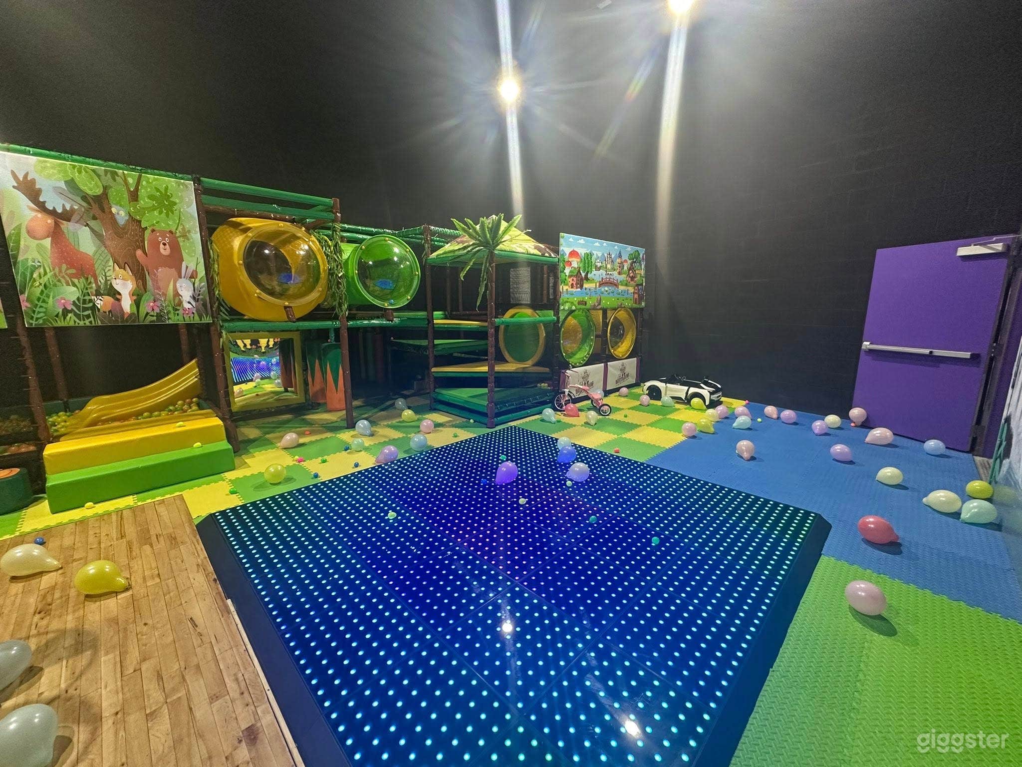 Magical Party Venue in Buffalo Photo 4