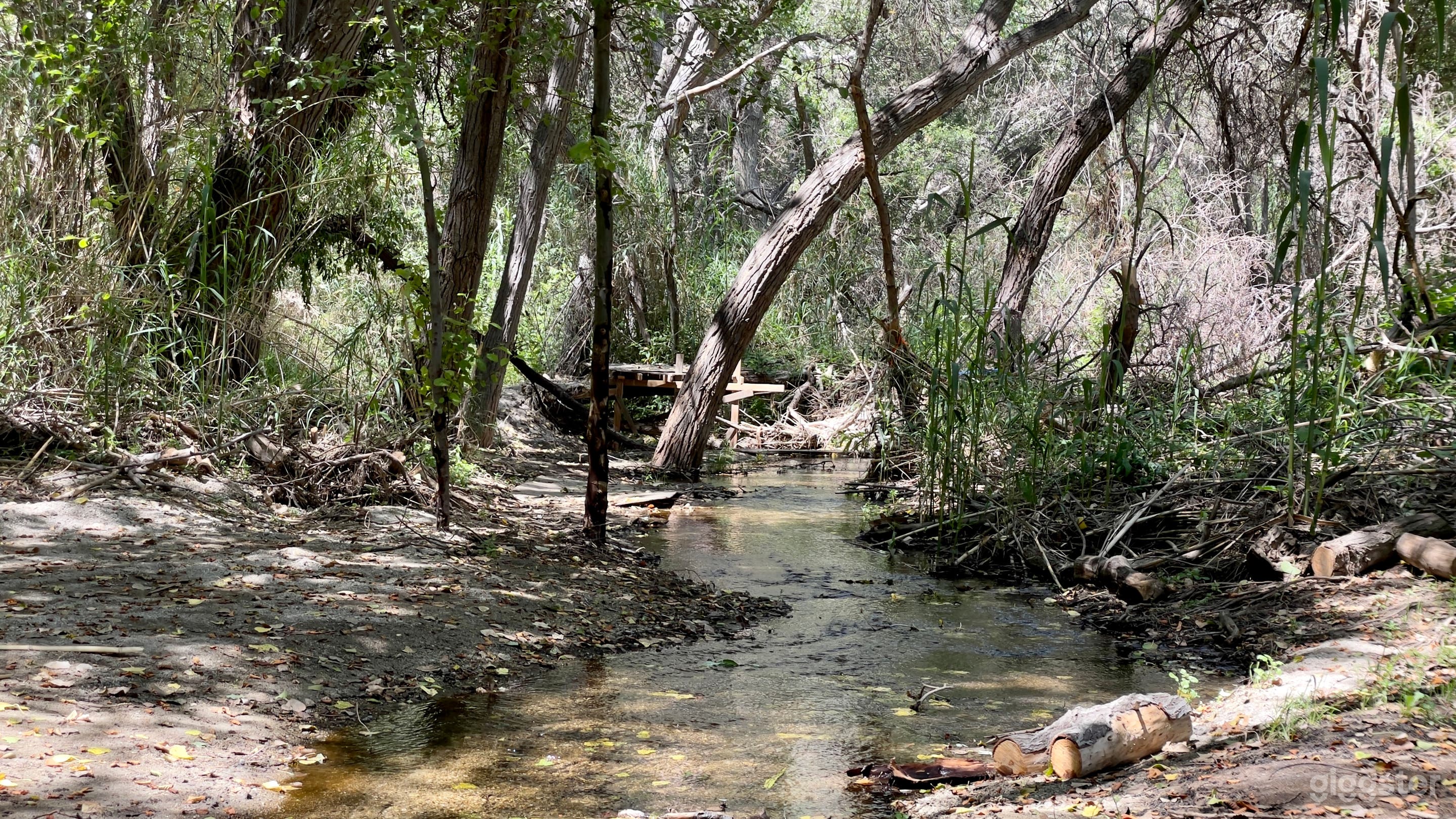 Mexican Ranch with Desert Mountain and Boxing Ring Photo 4