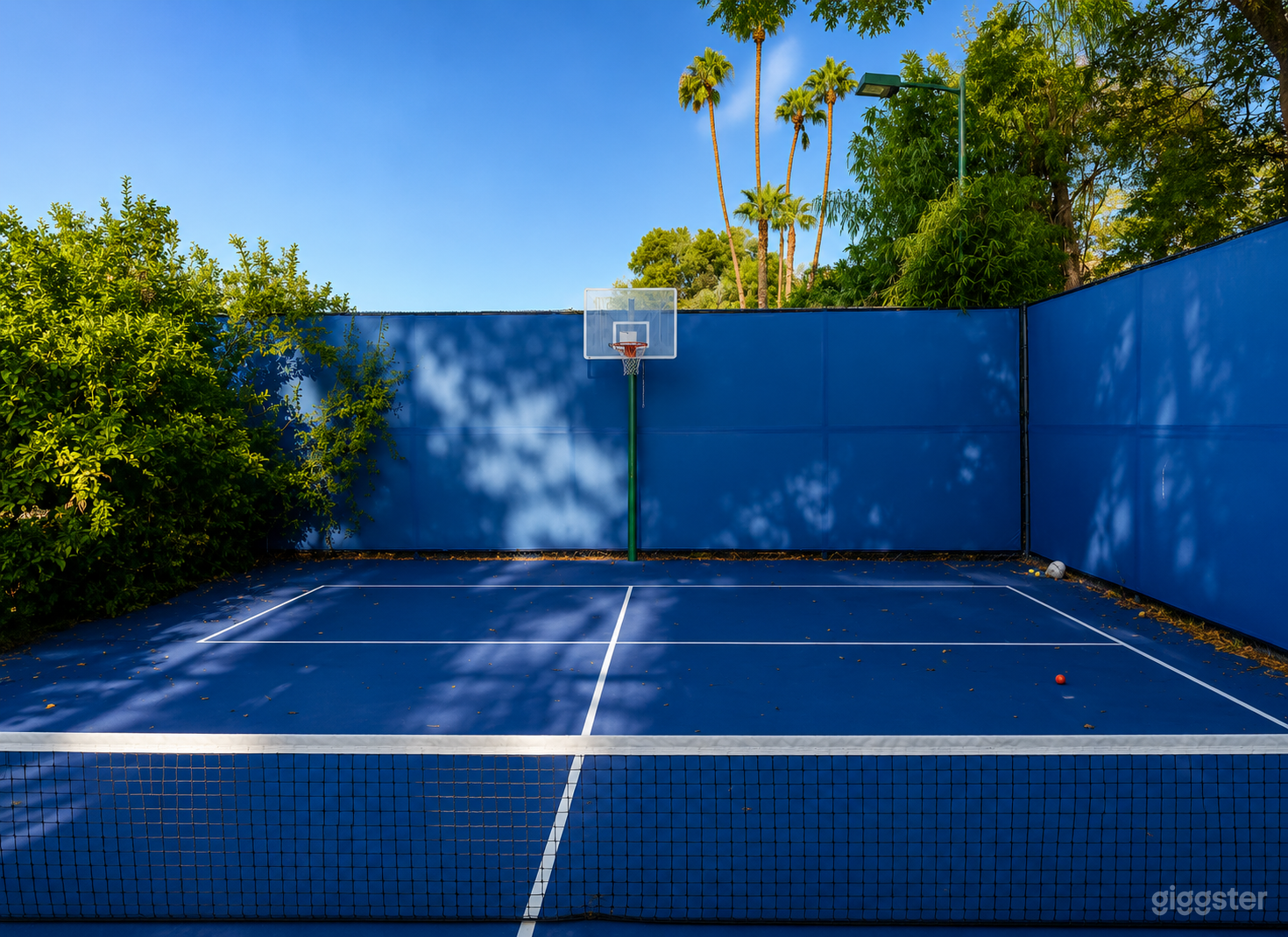 Backyard Multi-Sport Court Photo 4