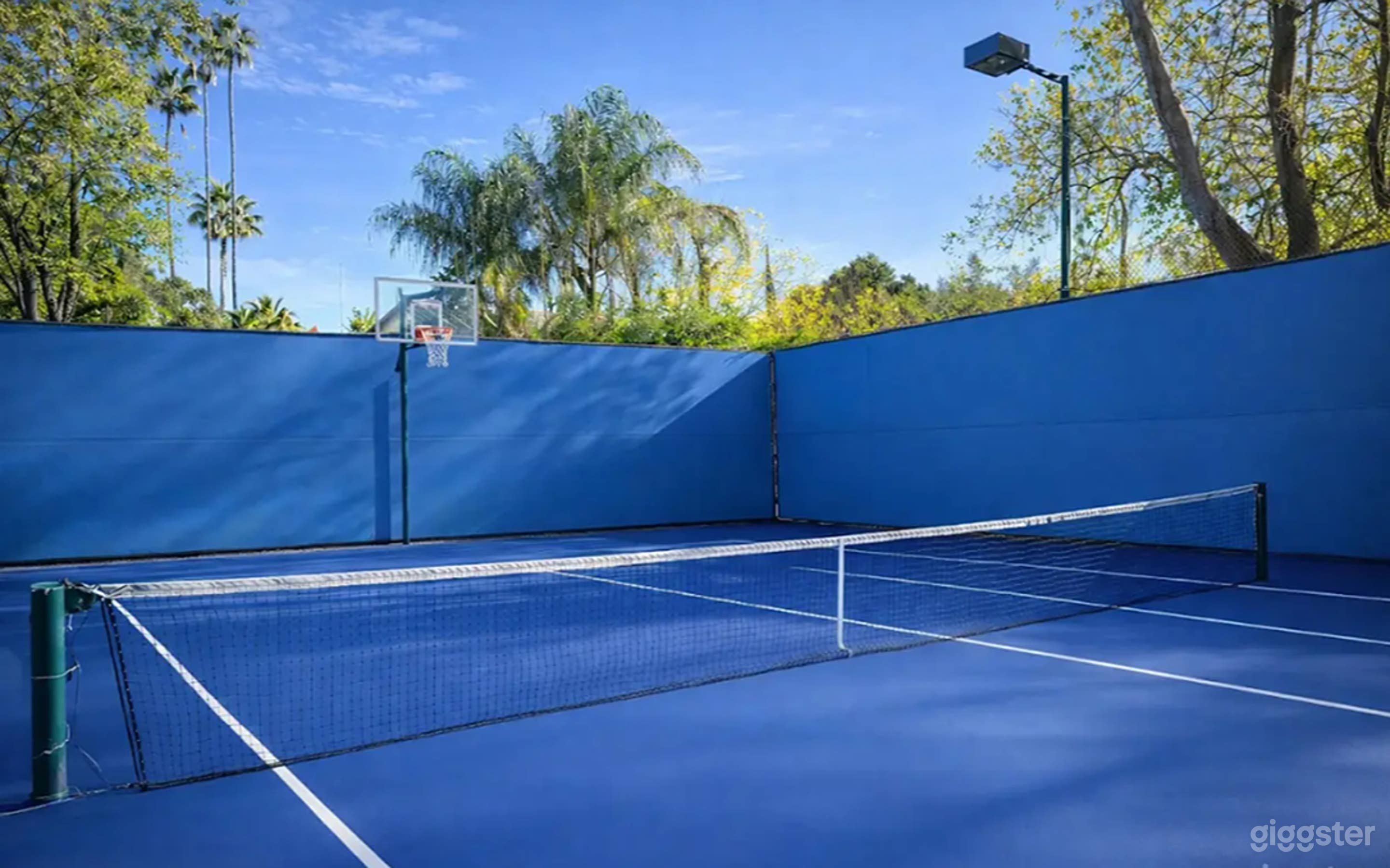 Backyard Multi-Sport Court Photo 1