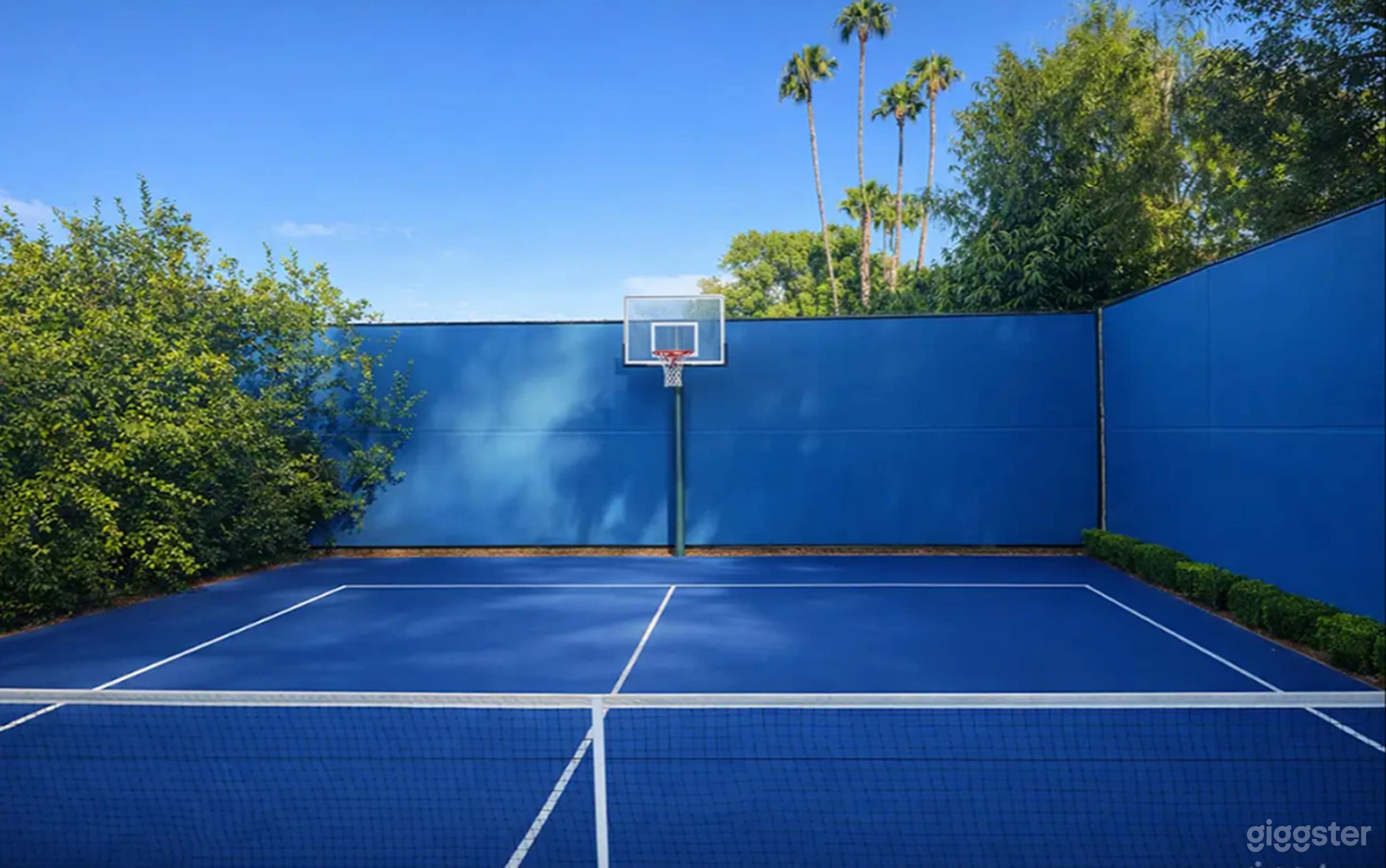 Backyard Multi-Sport Court Photo 2