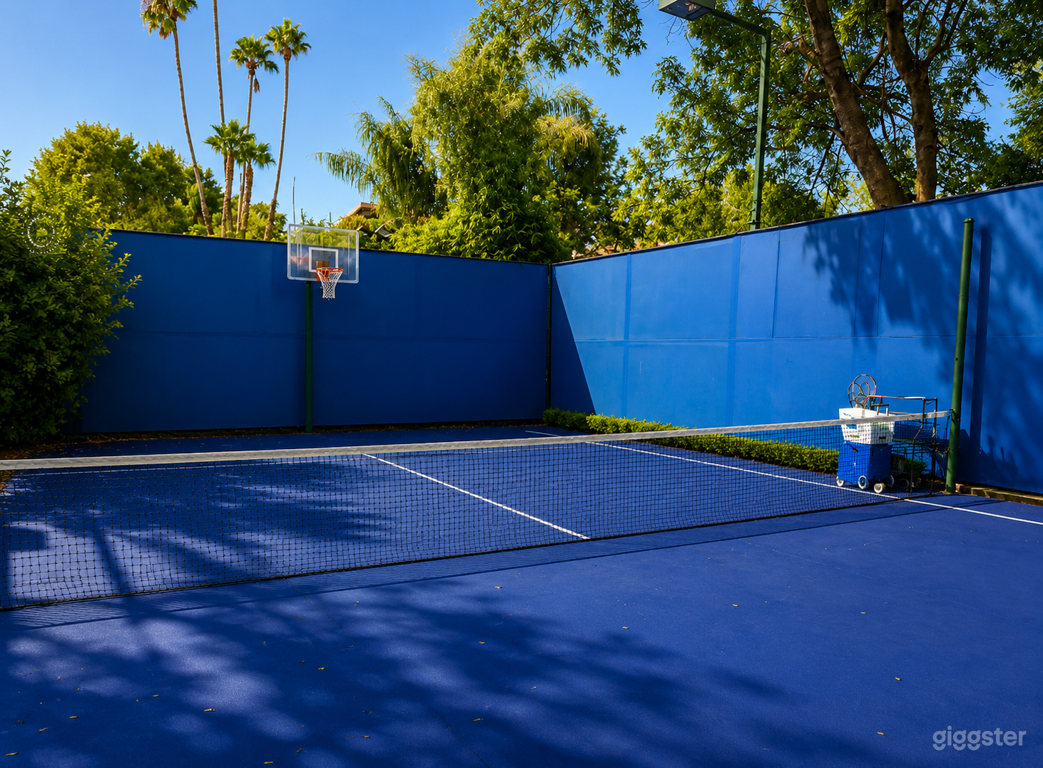 Backyard Multi-Sport Court Photo 3