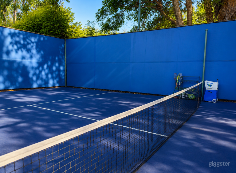 Backyard Multi-Sport Court 