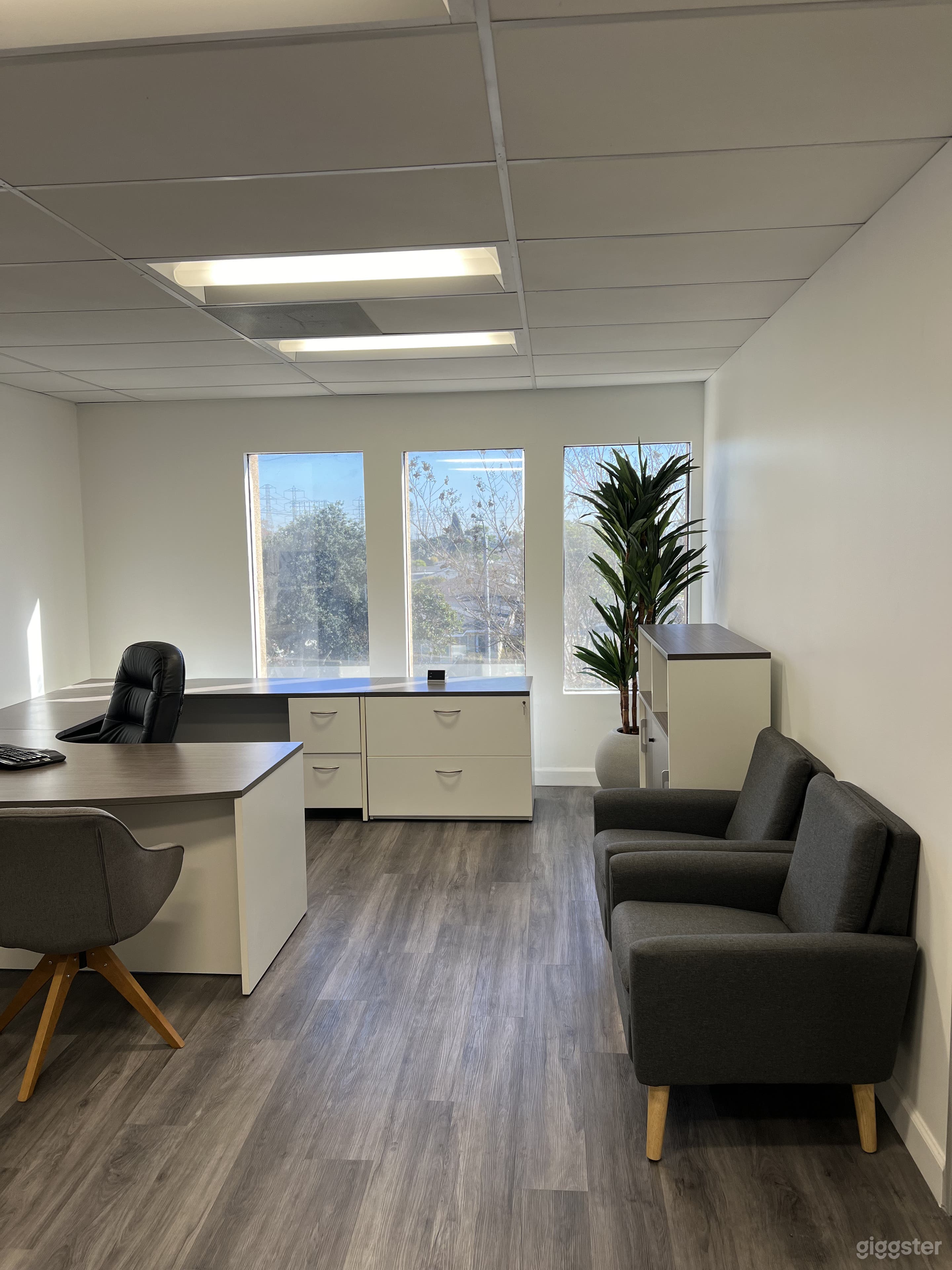 Furnished Executive Office (2) + Bull Pen  Photo 1