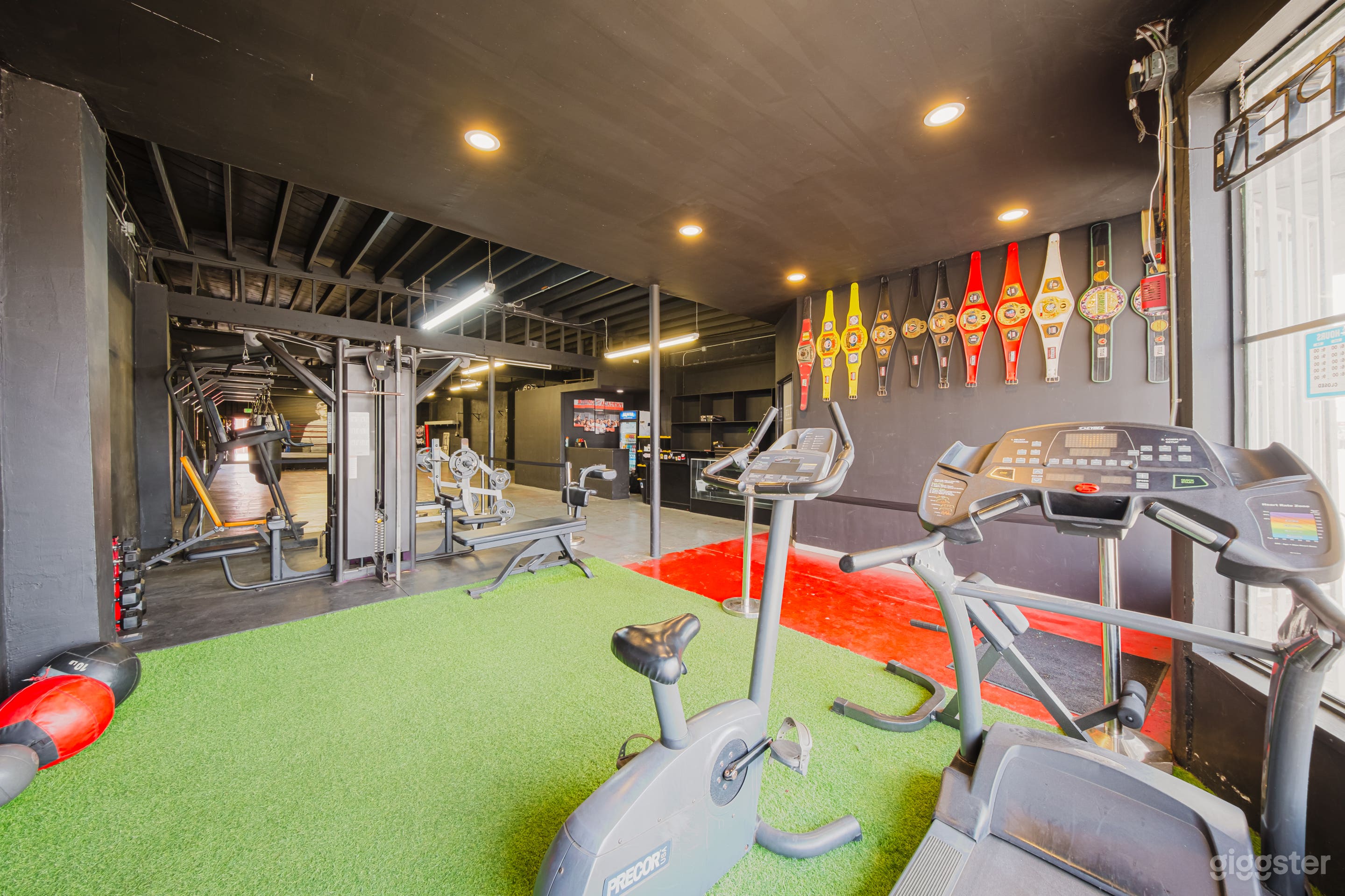  DYNAMIC BOXING GYM ACTION-PACKED SCENES Photo 4