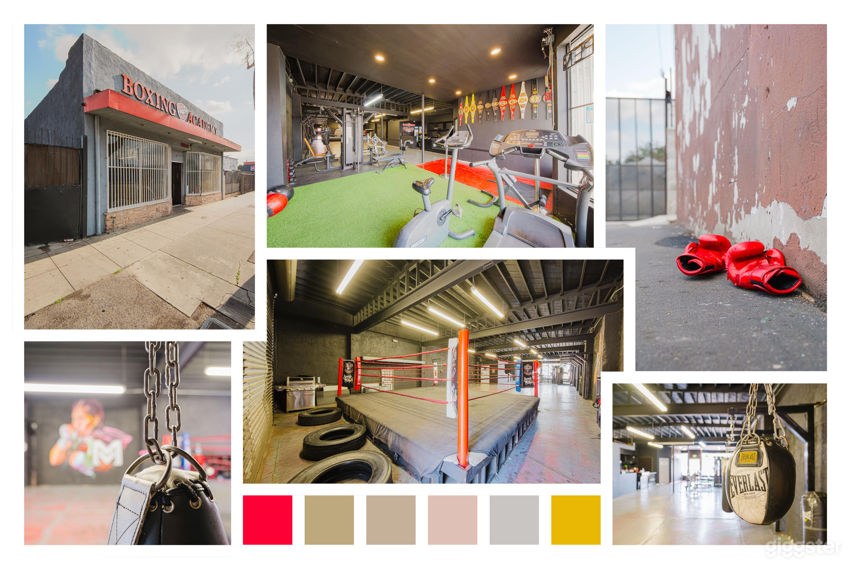  DYNAMIC BOXING GYM ACTION-PACKED SCENES Photo 1