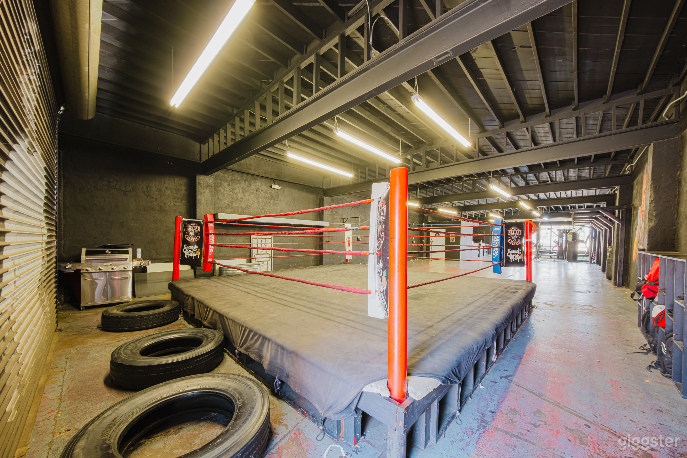  DYNAMIC BOXING GYM ACTION-PACKED SCENES Photo 2