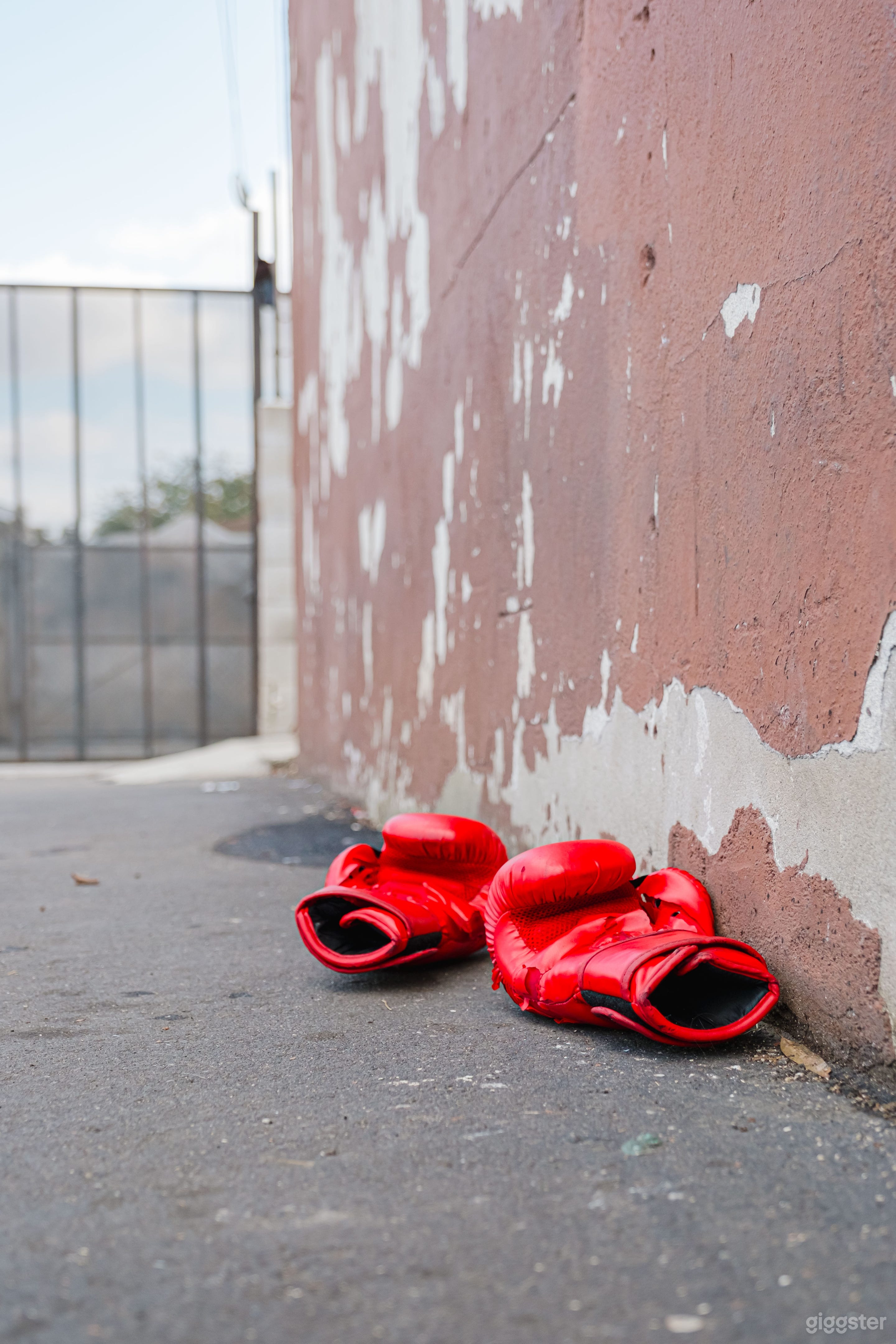  DYNAMIC BOXING GYM ACTION-PACKED SCENES Photo 3