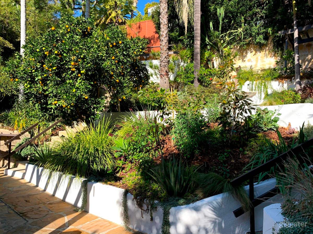 Terraced Spanish Style Garden with Fountain Photo 4