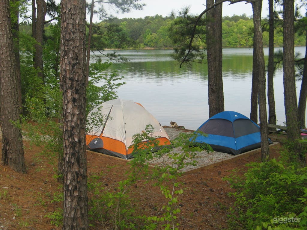Lake Juliette Ferry Park Photo 1