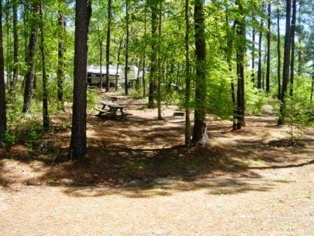 Lake Juliette Ferry Park Photo 2