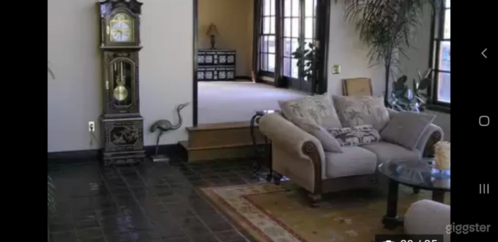 Grand mountain villa Photo 3