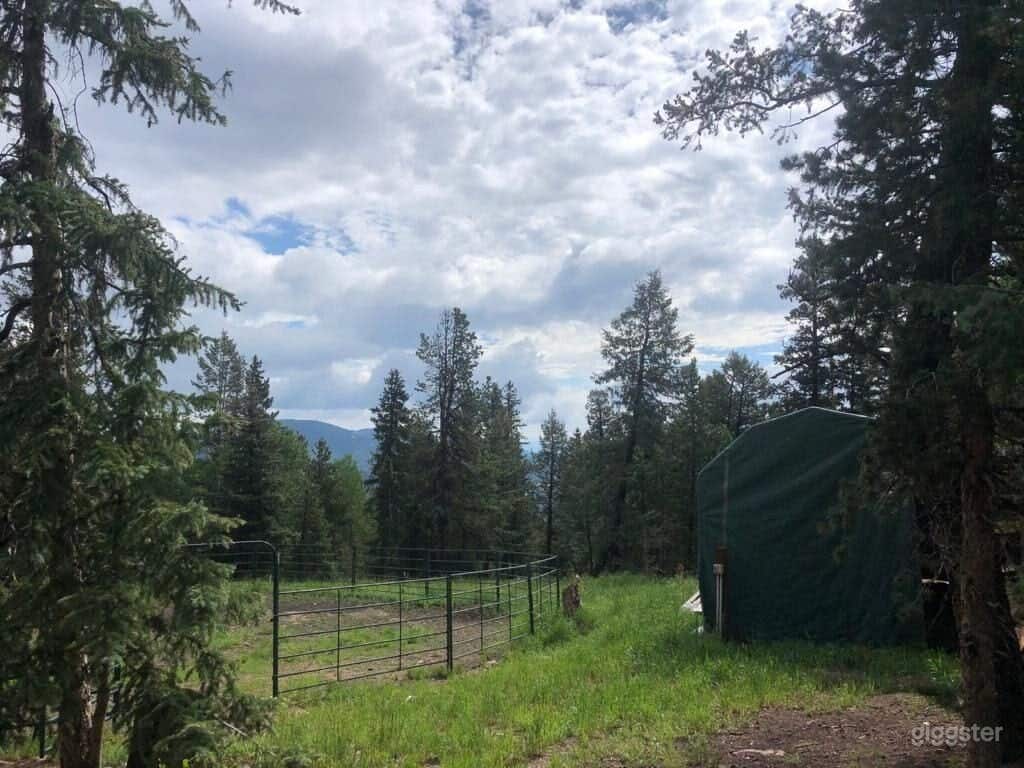 Rustic Mountain Tiny Cabin Barn 500+ Wooded Acres Photo 4