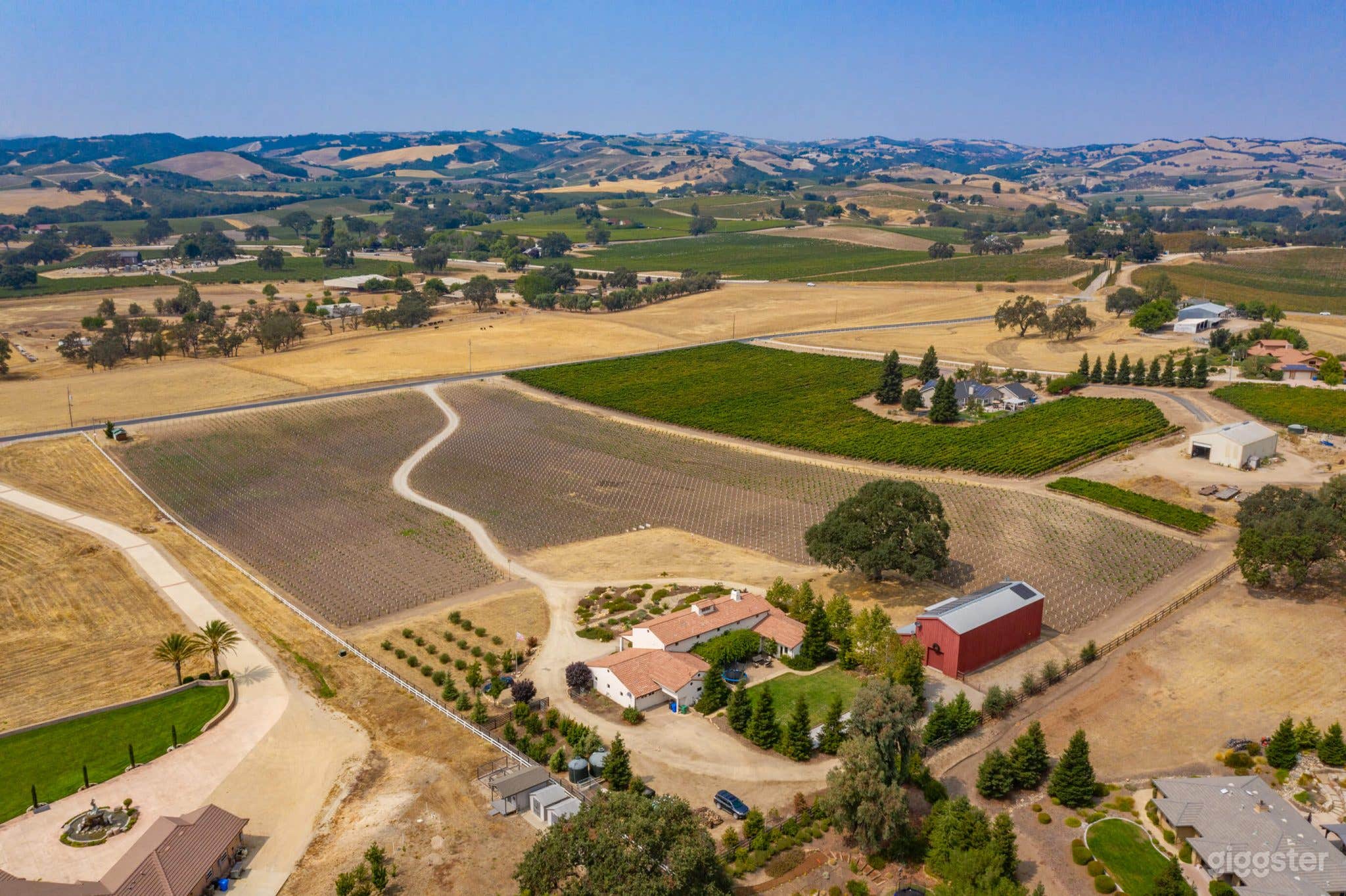 Mission Vineyard Photo 4