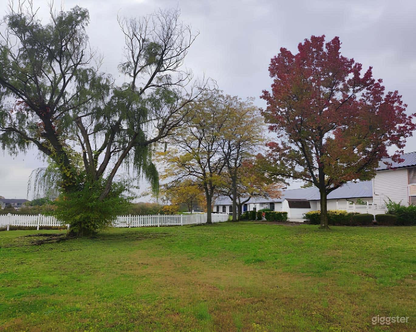 Lakeside Festival Area Photo 4