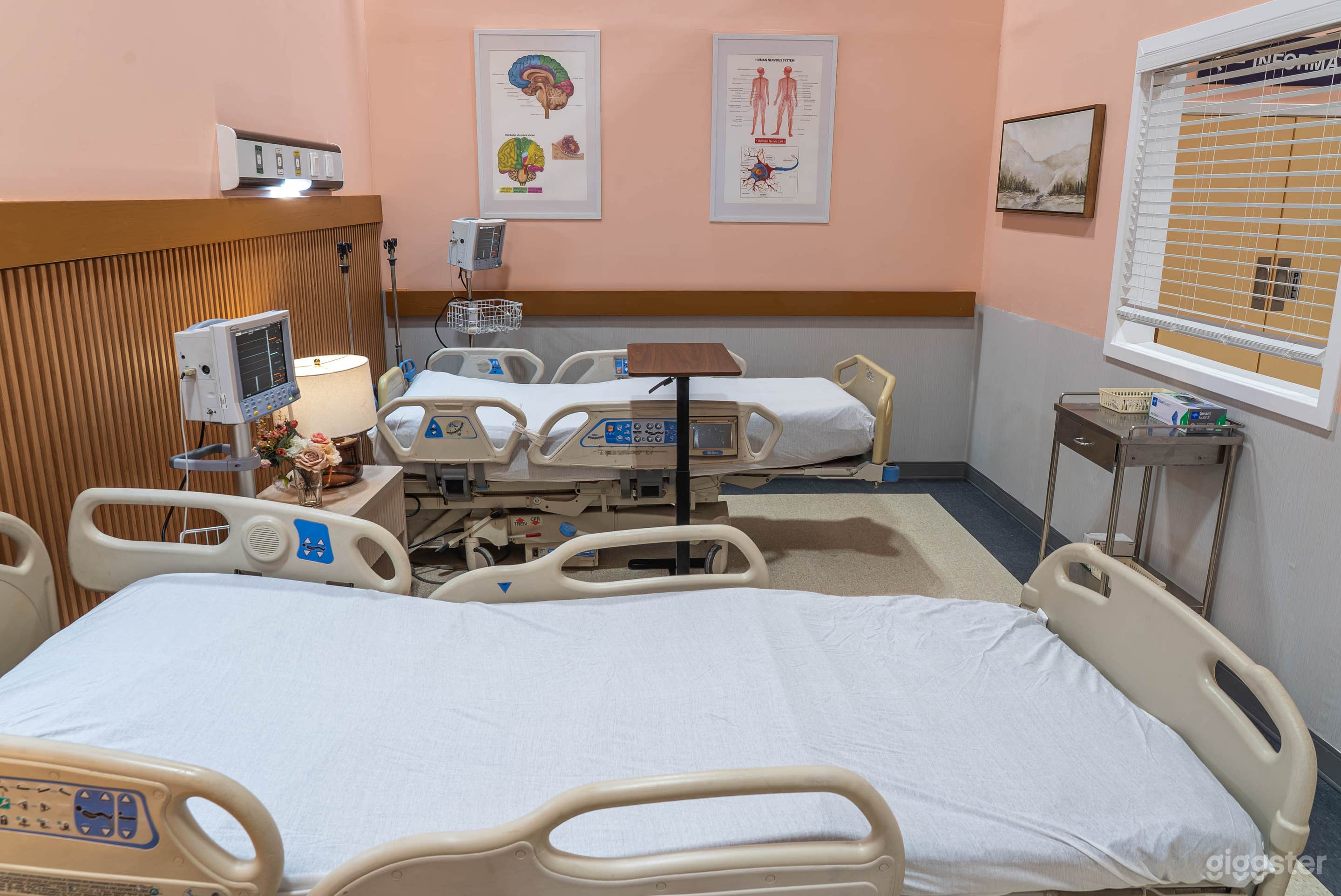 Hospital + Office + Private Lounge + Multi-sets Photo 4