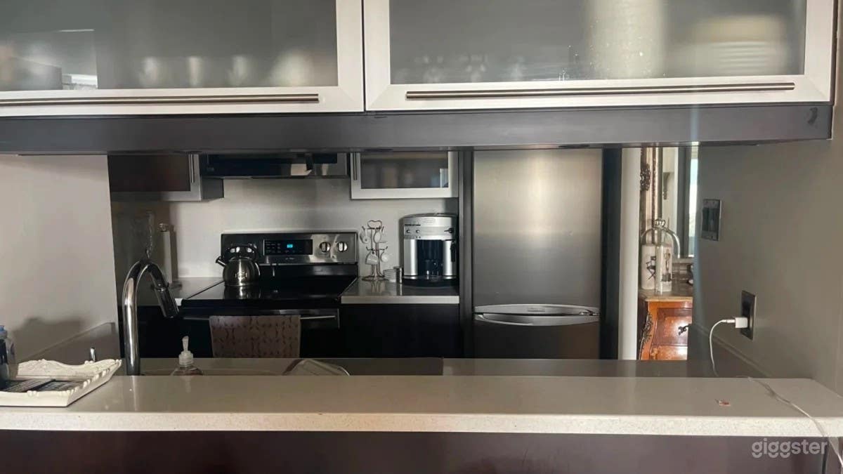 Luxury Downtown Toronto Condo with Private Terrace Photo 2