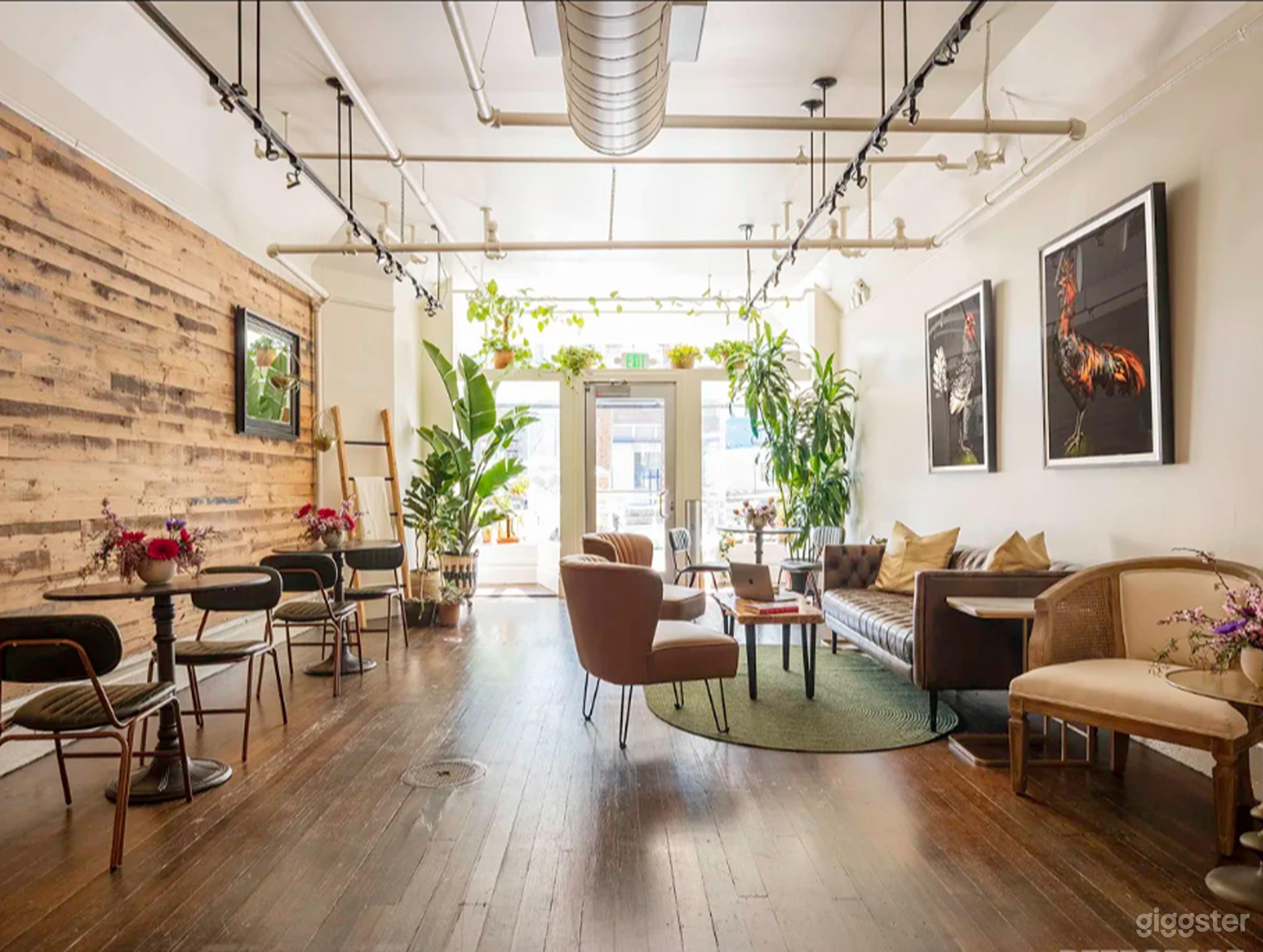 Bright, Beautiful Castro Gathering Space Photo 4