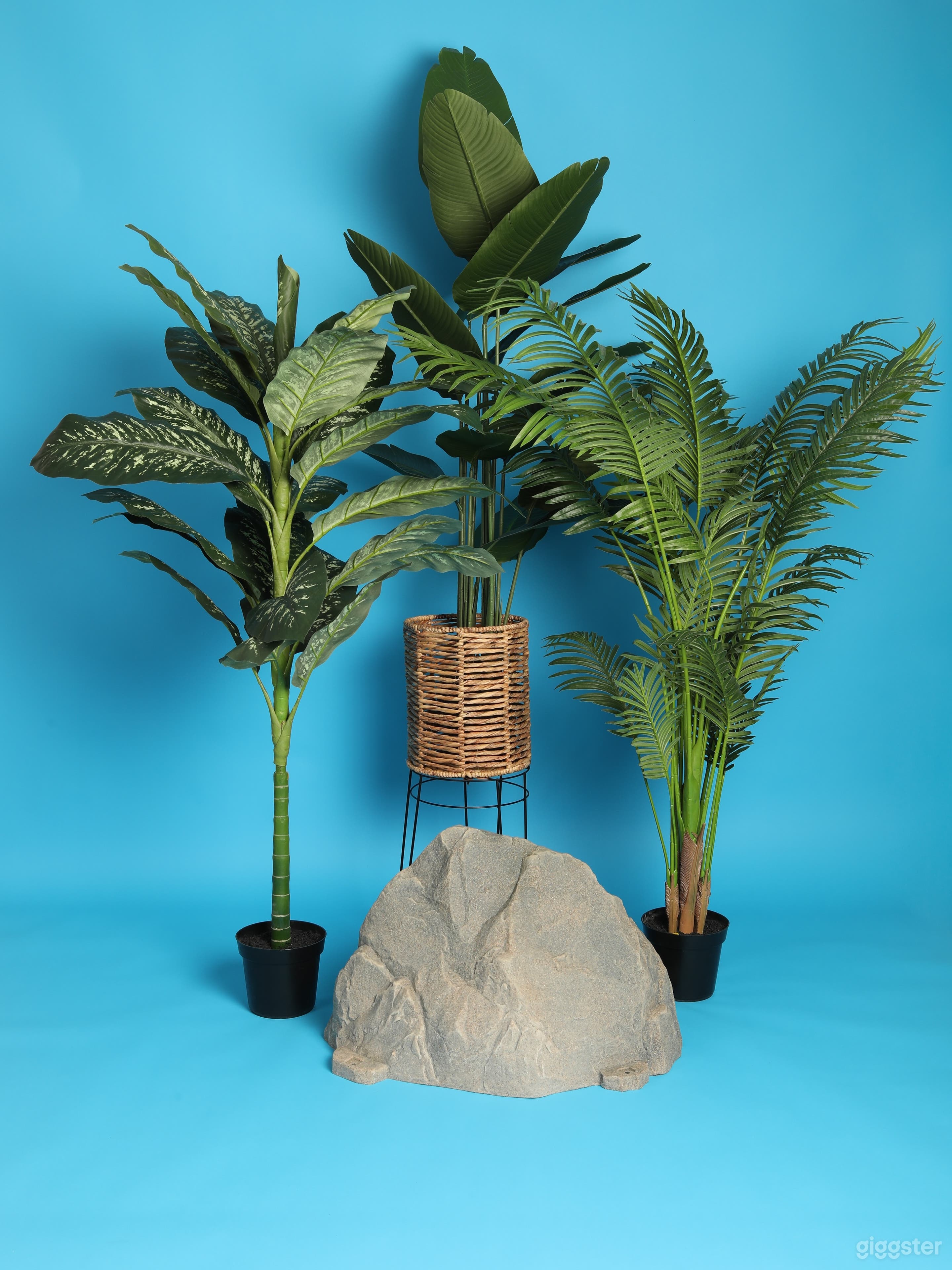 Spacious Photo Studio Space Photo 2