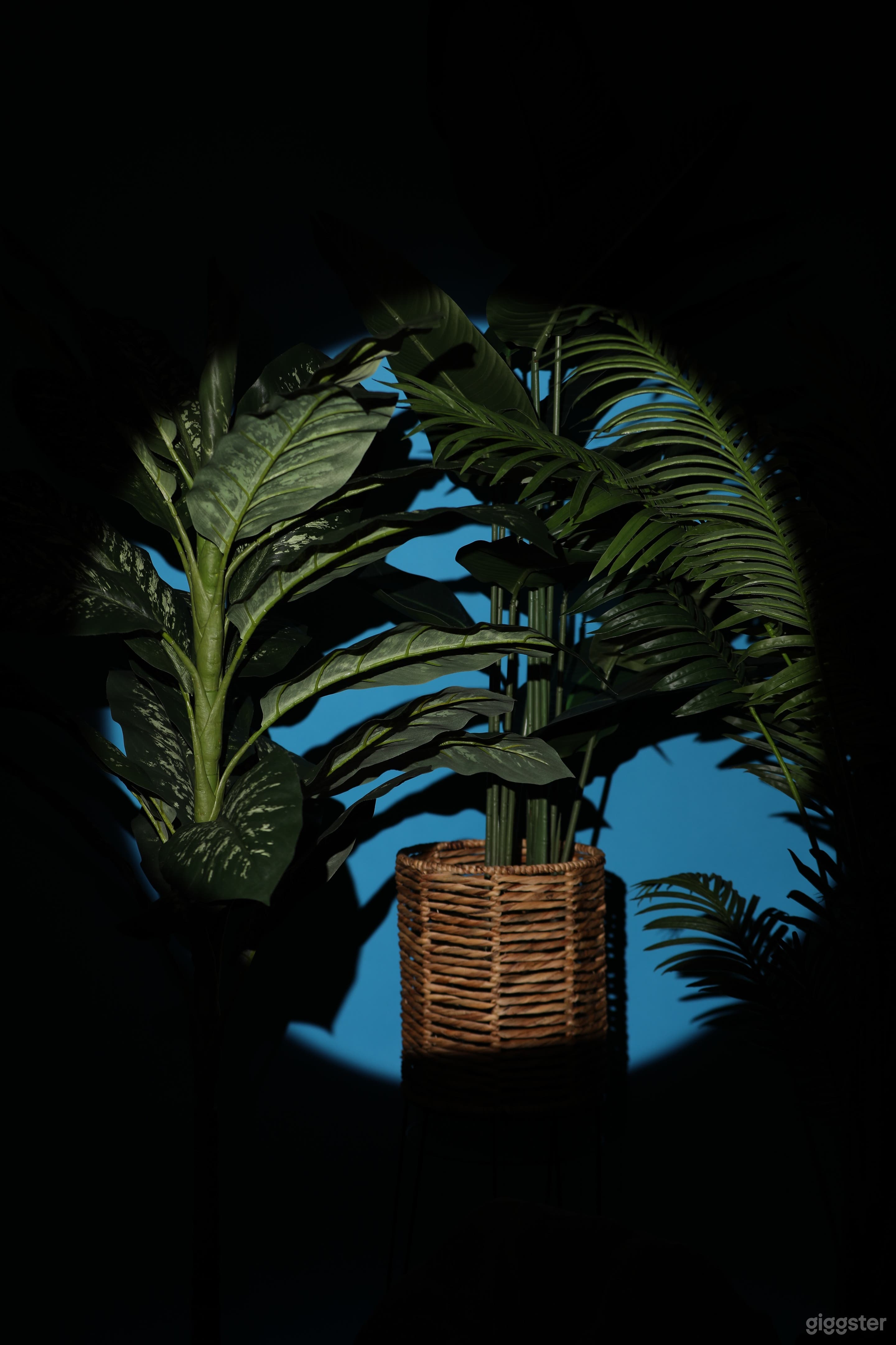 Spacious Photo Studio Space Photo 4