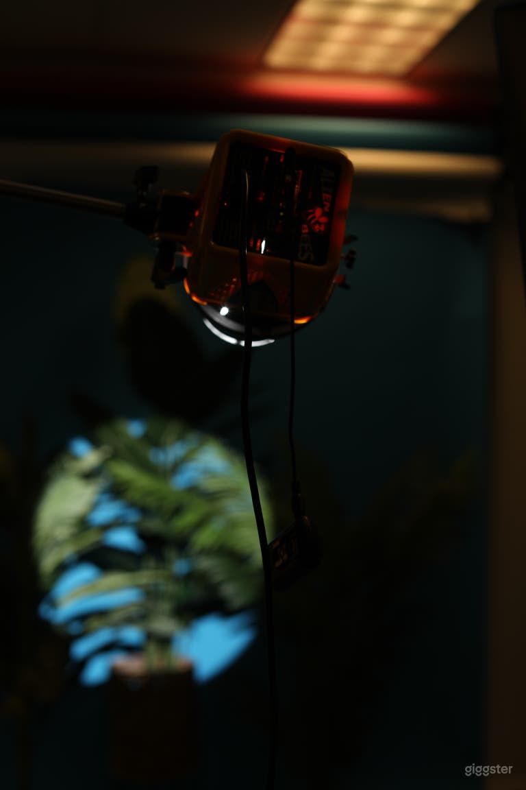  Spacious Photo Studio Space 