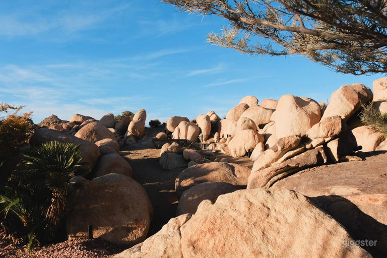  Creative Desert Home 