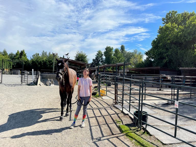  Western Styled Stables with Pastures and Landscape Views 