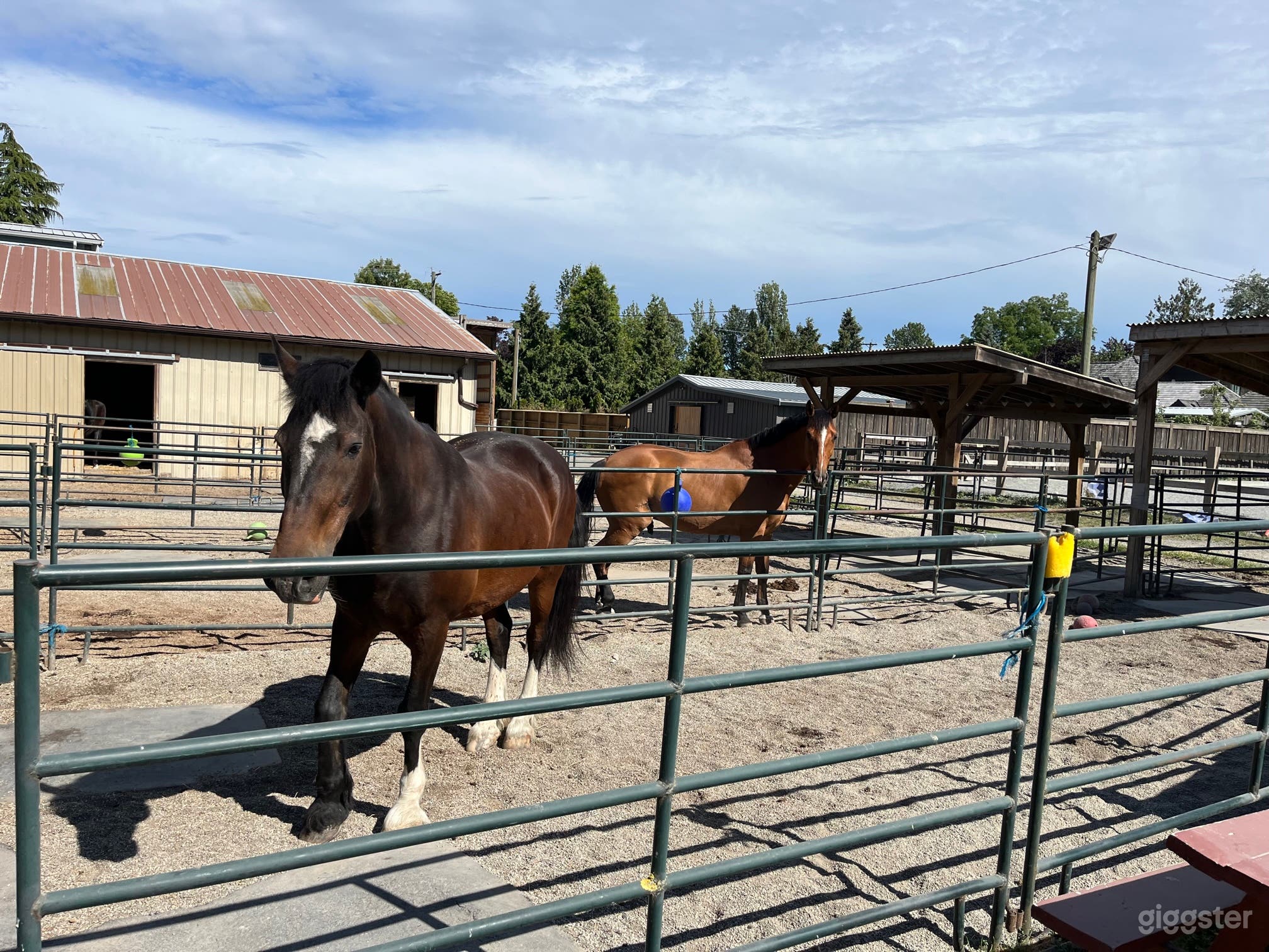 Western Styled Stables with Pastures and Landscape Views Photo 4
