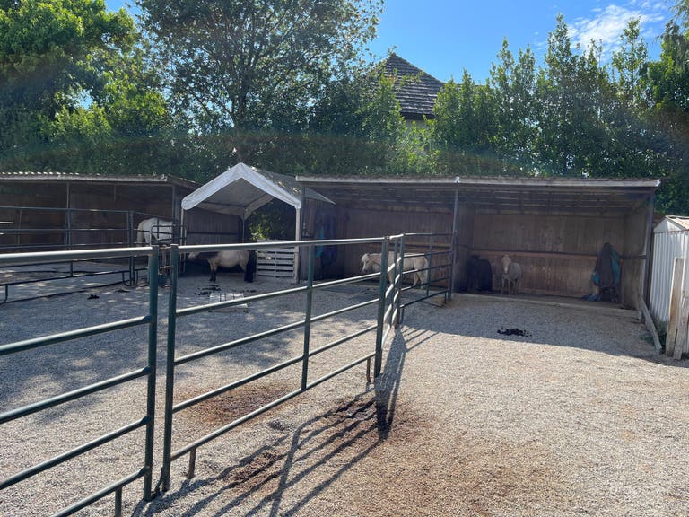  Western Styled Stables with Pastures and Landscape Views 