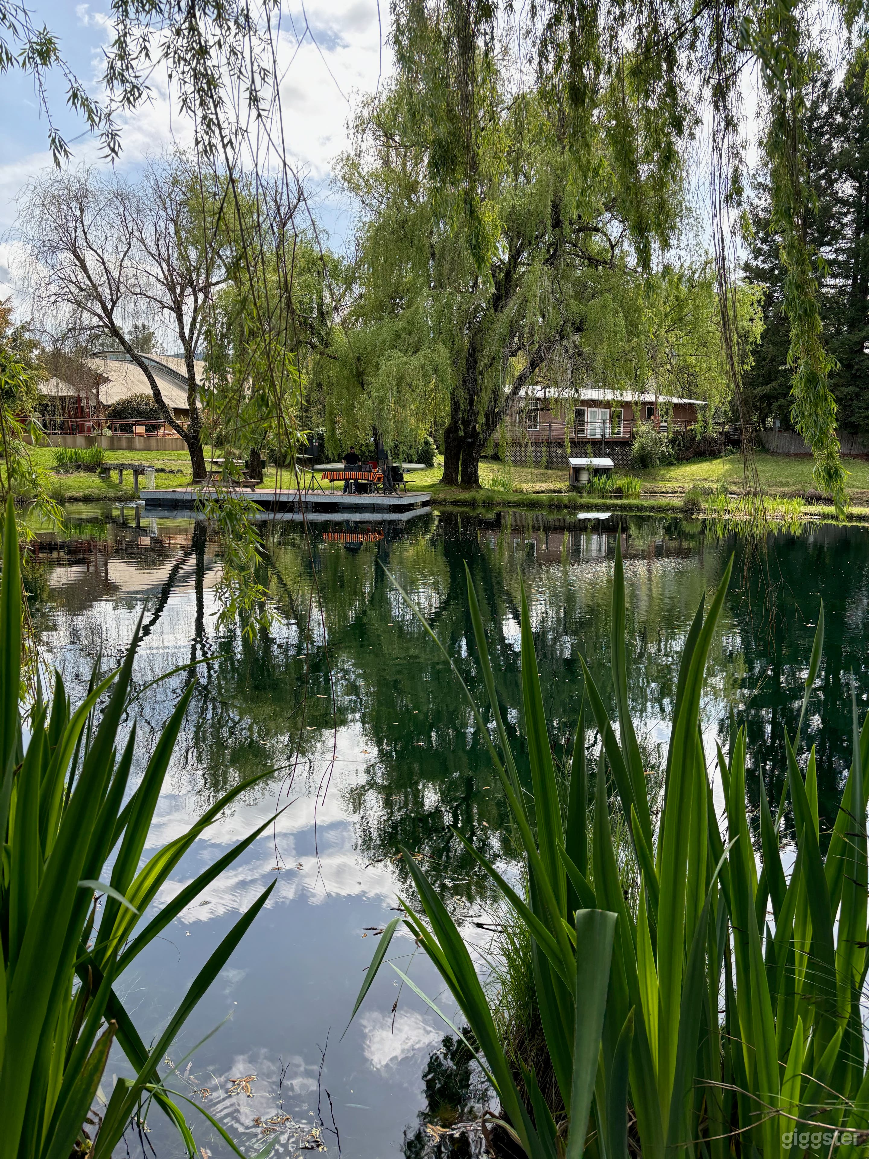 The “Horn Dragons” view of pond 