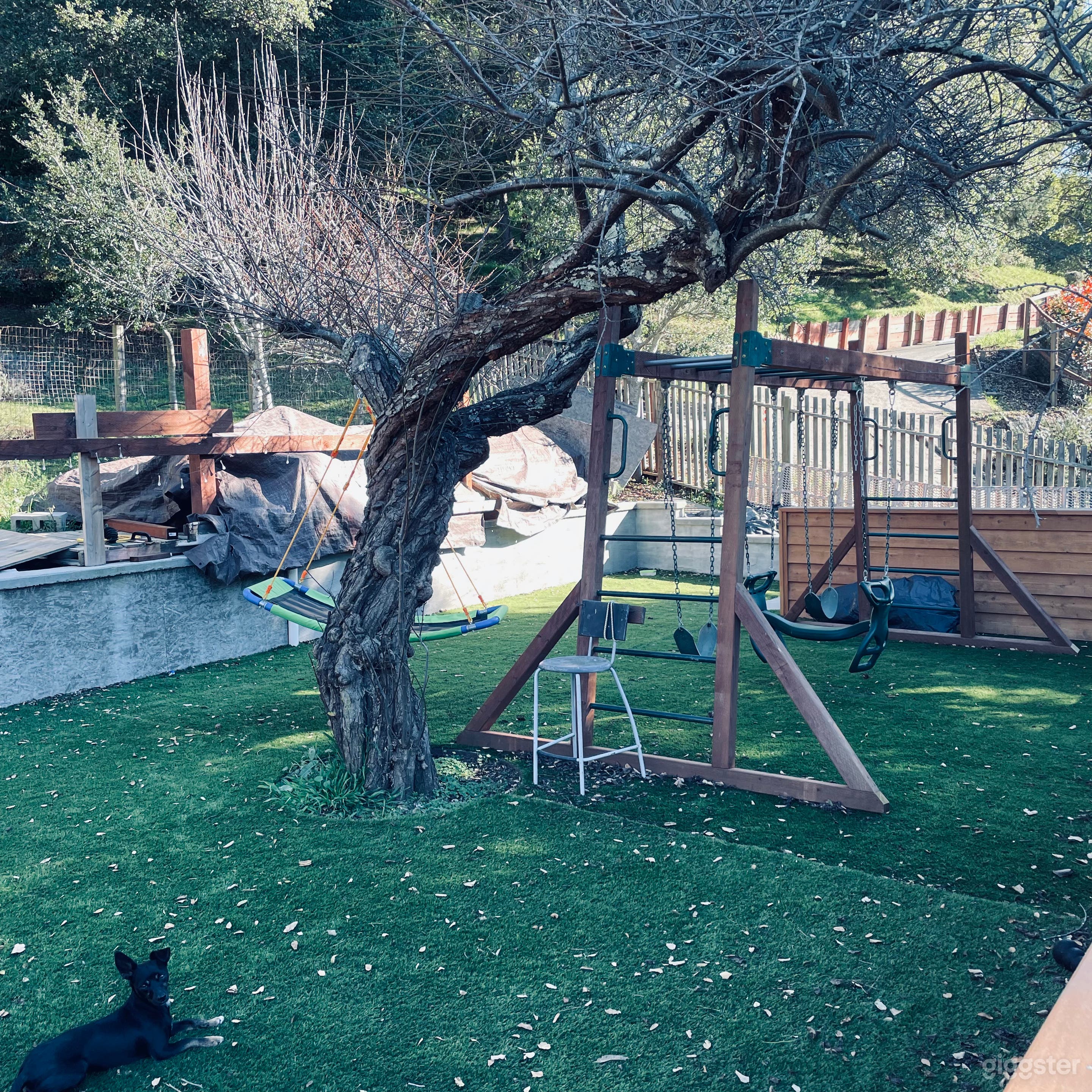 Beautiful yard in Marin County with new deck  Photo 3