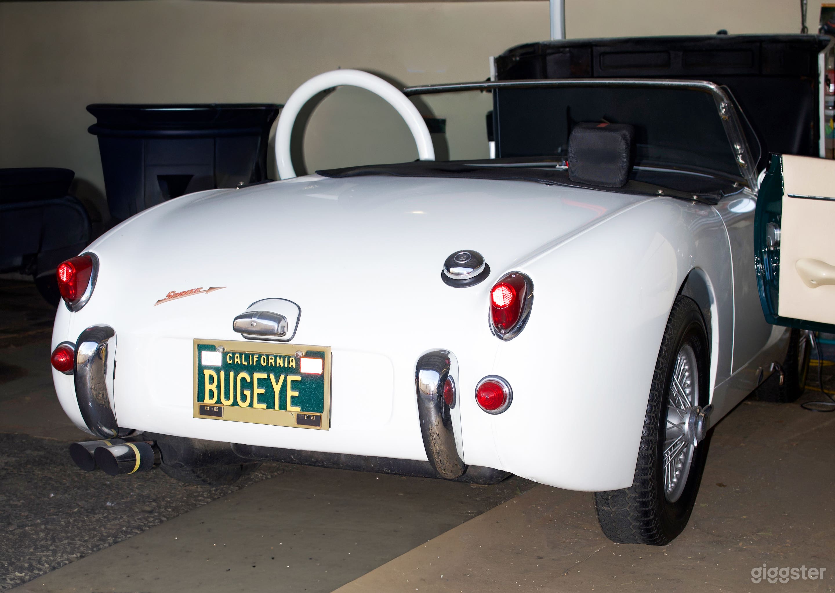 Bugeye Sprite Photo 3