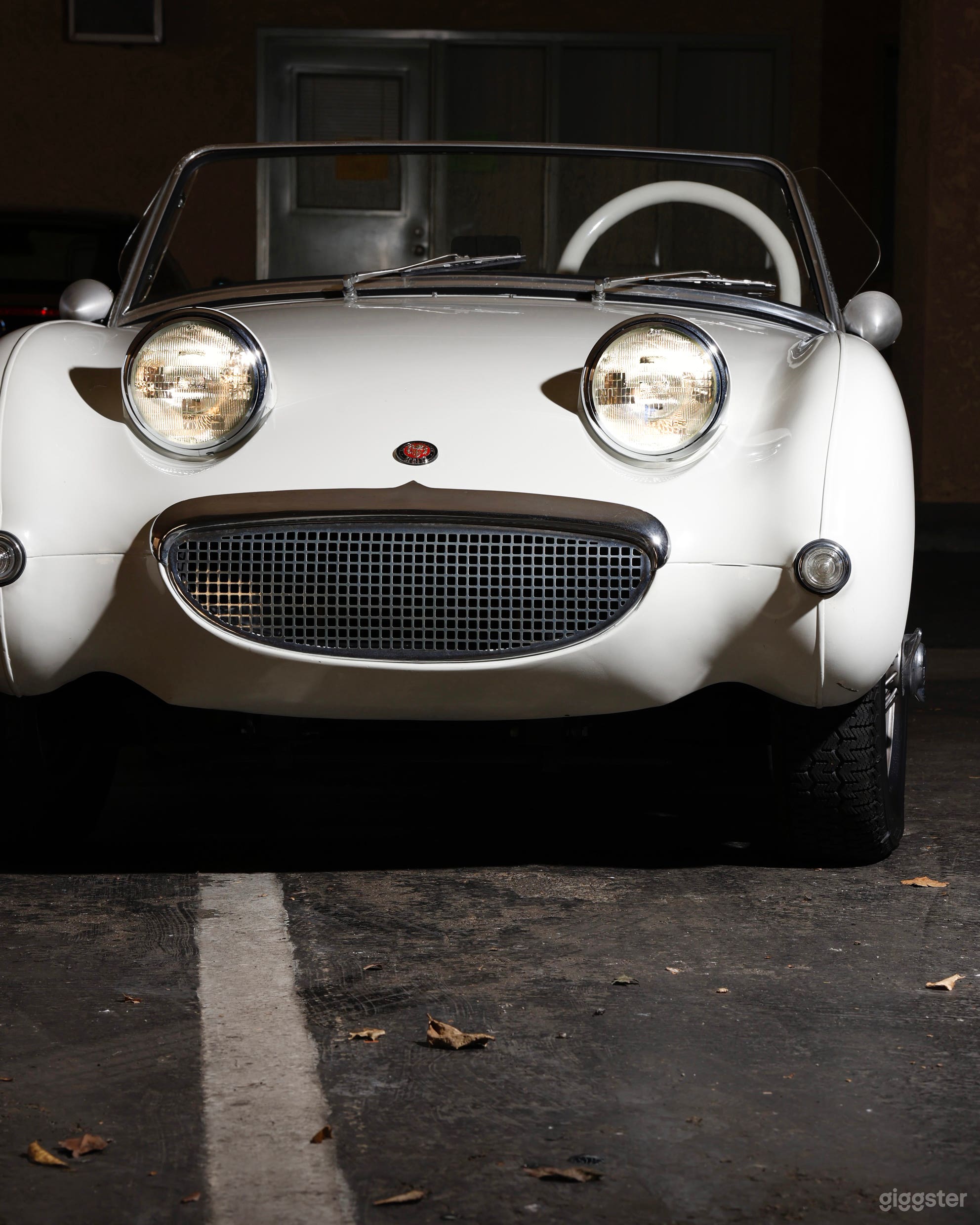 Bugeye Sprite Photo 4