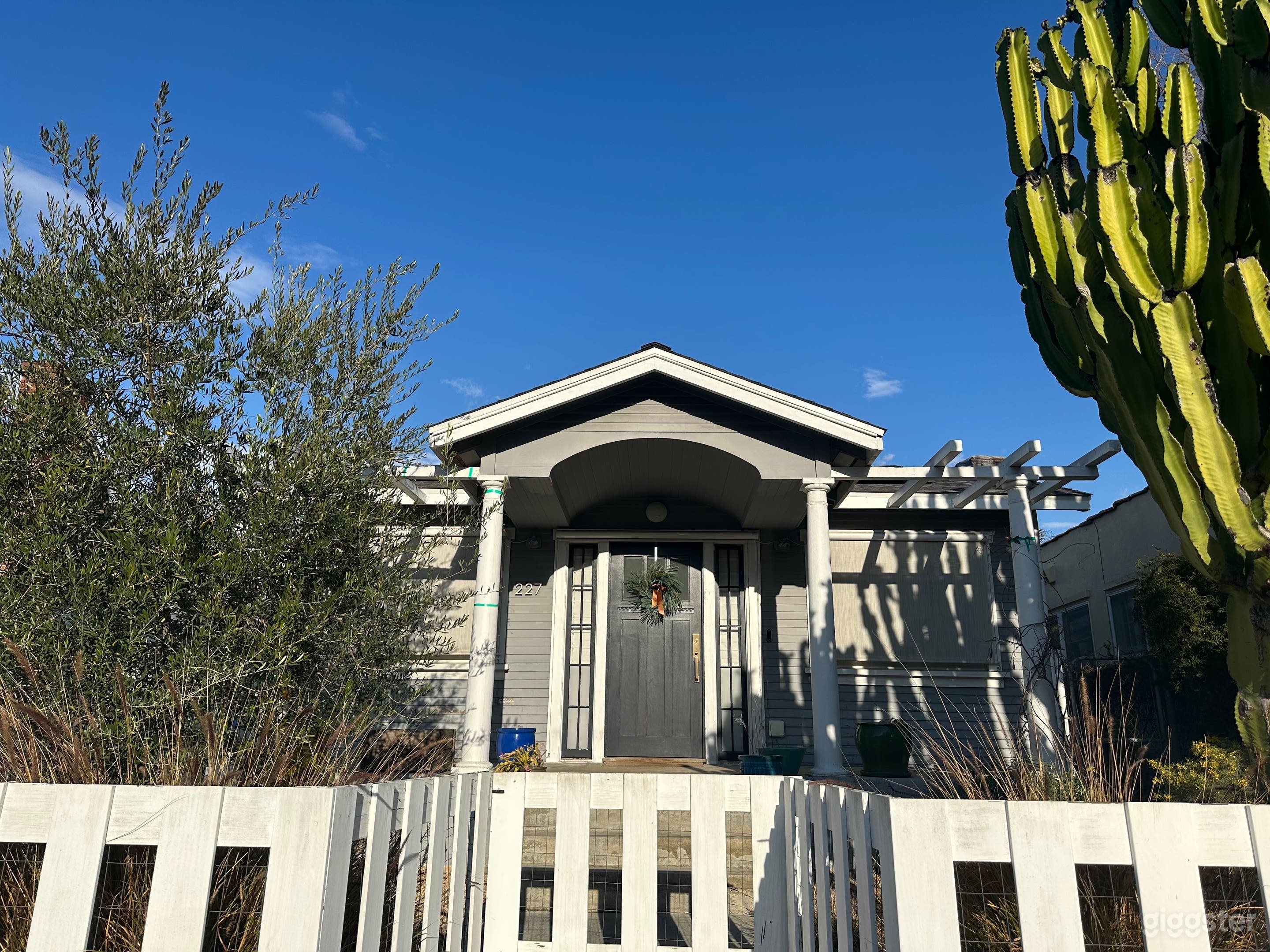 Front yard from sidewalk