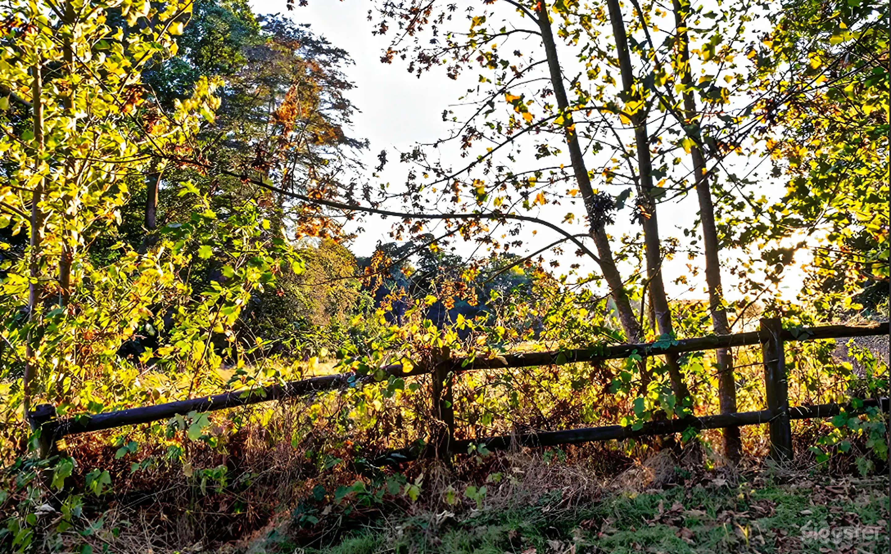 Photo de Terrain extérieur vaste de 16 hectares dans un manoir privé 3