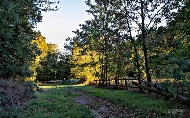  Expansive 16 Hectares Outdoor Grounds in a Private Mansion 