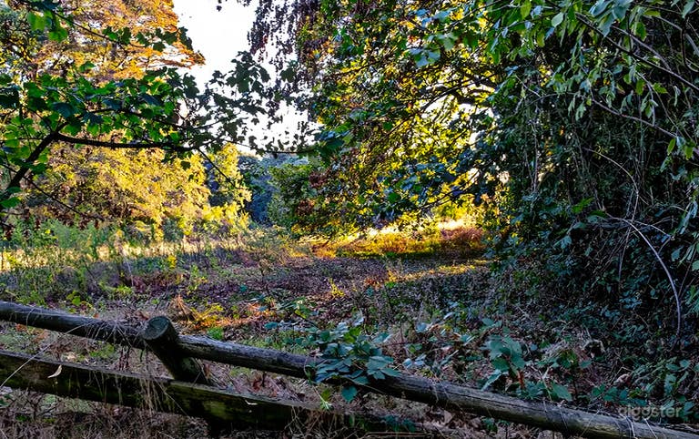  Terrain extérieur vaste de 16 hectares dans un manoir privé 