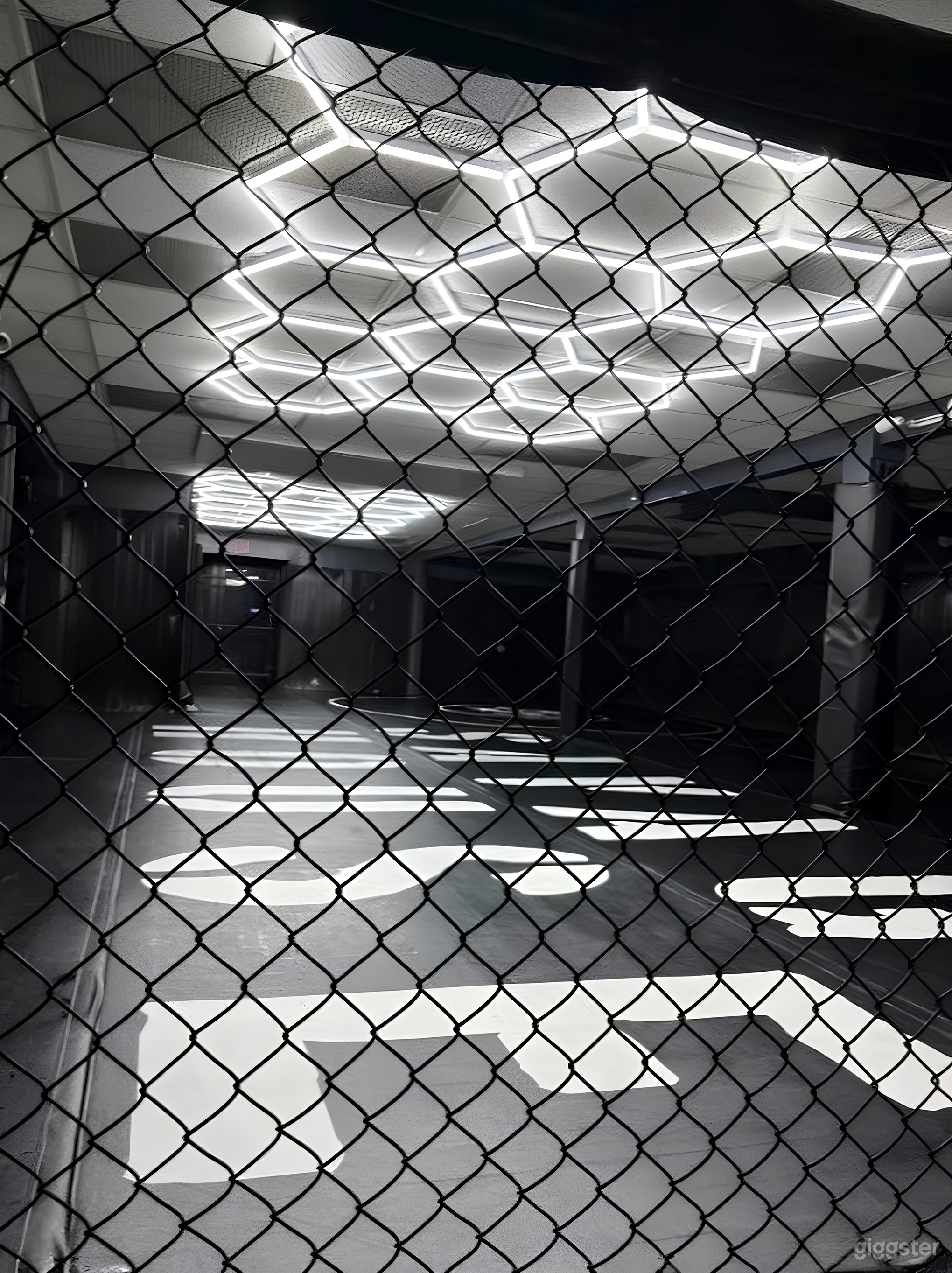 Wrestling &amp; Fight Gym for Photoshoots, Fitness Content Photo 1