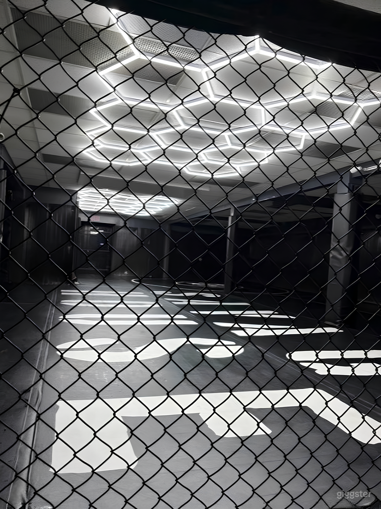  Wrestling & Fight Gym for Photoshoots, Fitness Content 