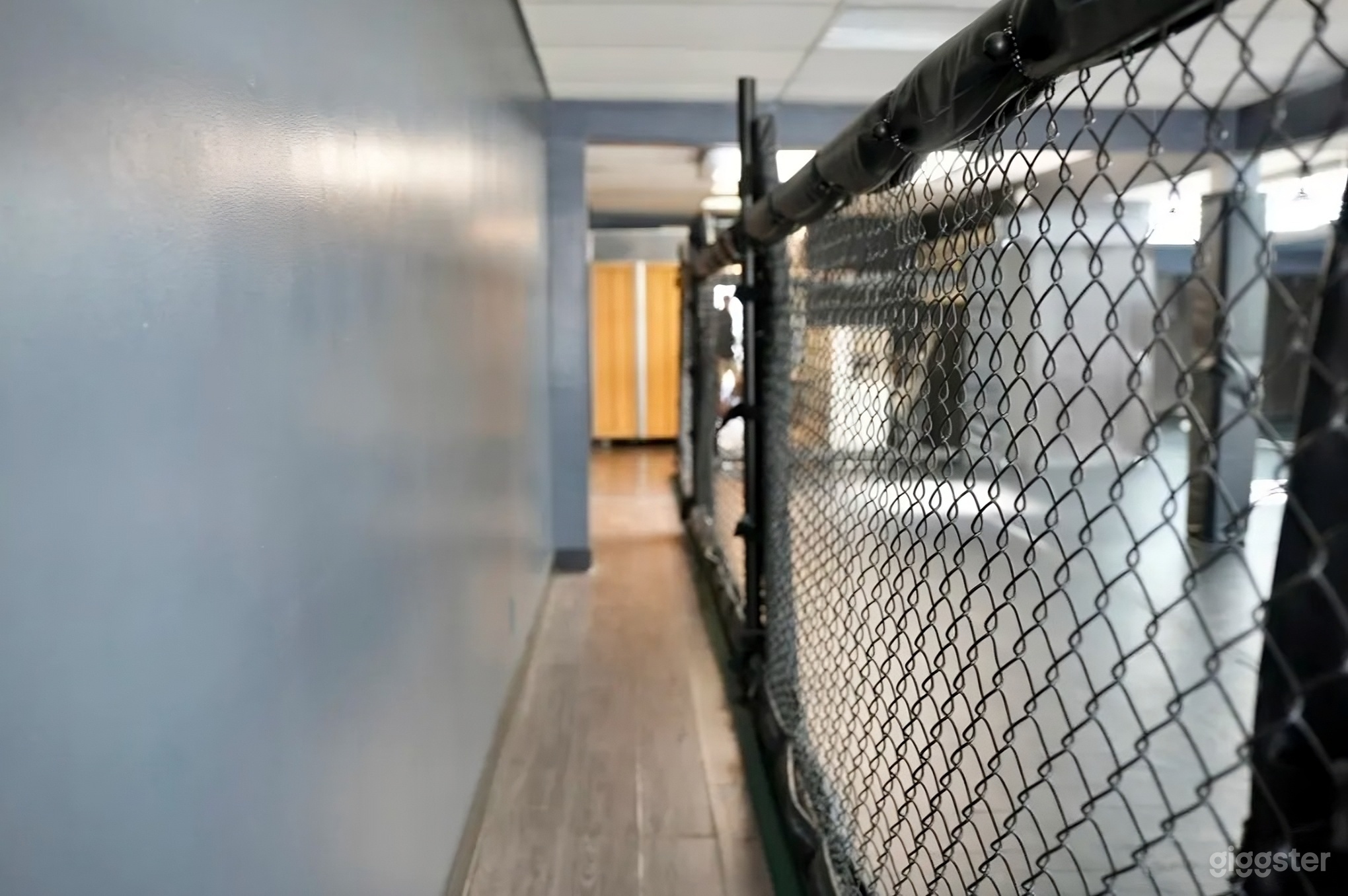 Wrestling &amp; Fight Gym for Photoshoots, Fitness Content Photo 4