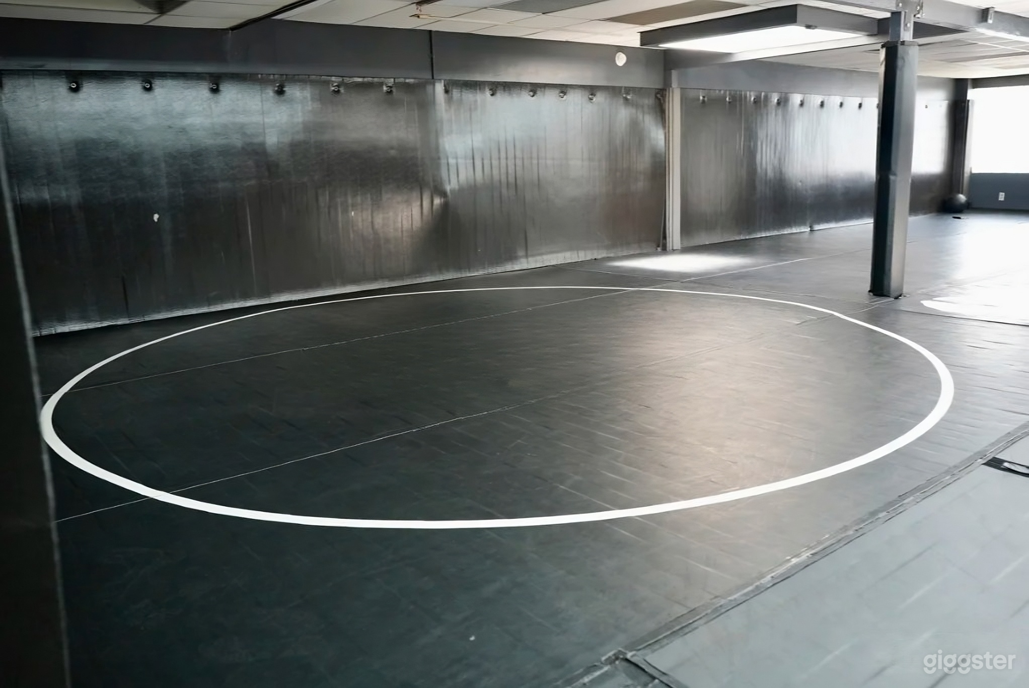 Wrestling &amp; Fight Gym for Photoshoots, Fitness Content Photo 2