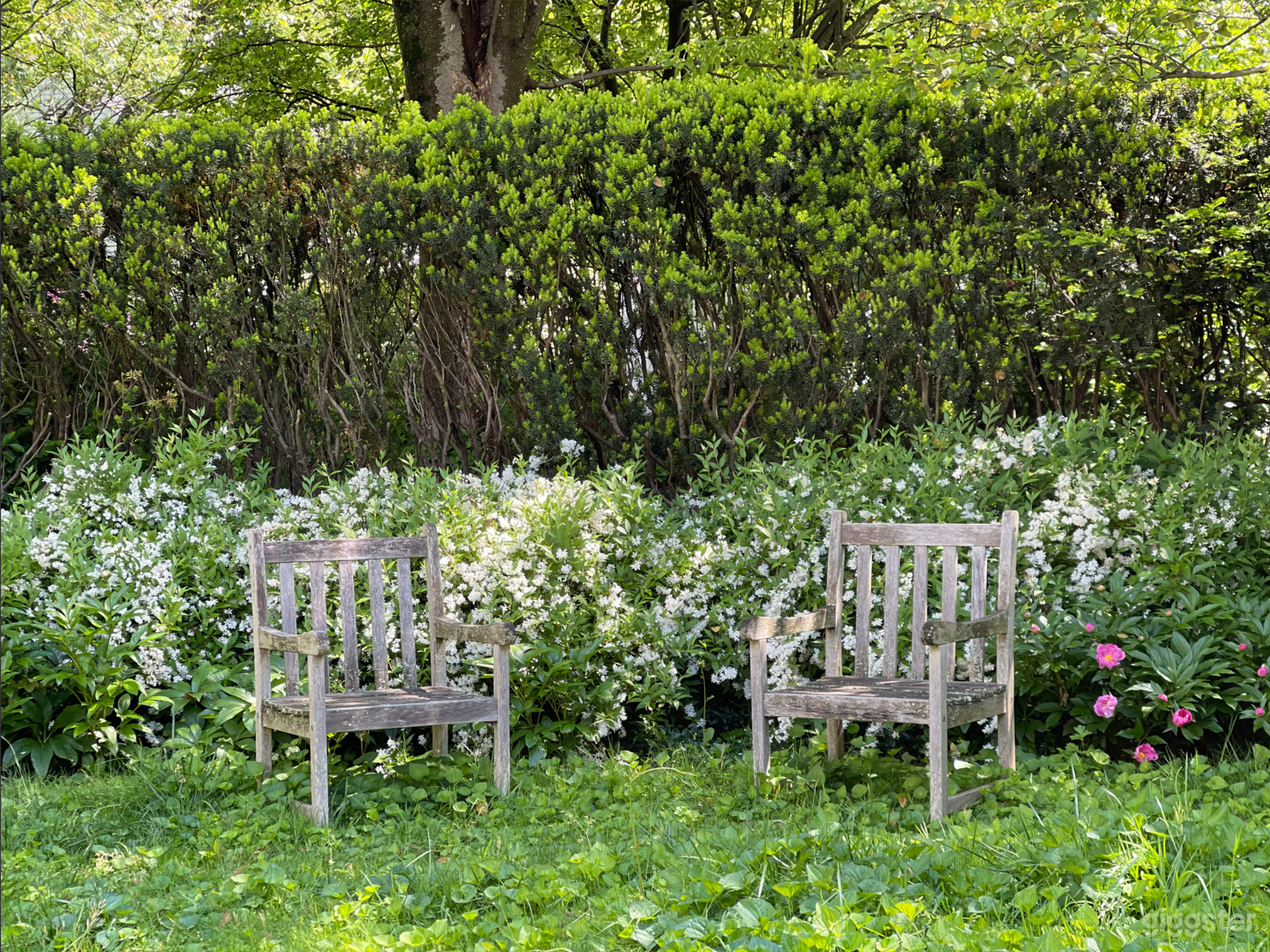 House in one of the city's most desirable spots Photo 4