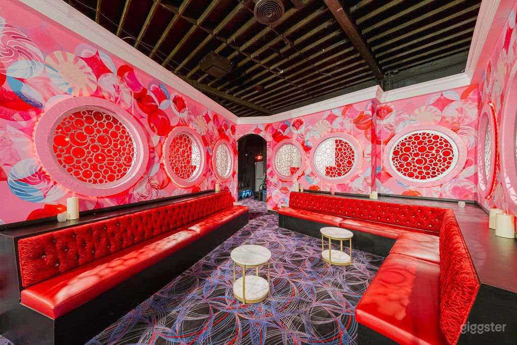 Vibrant, Chic Nightclub  Photo 3