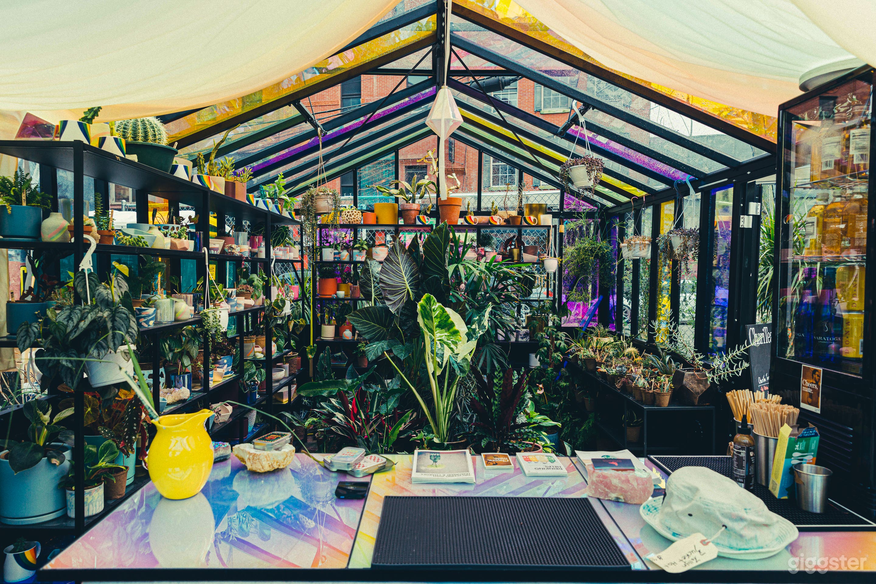 Greenhouse inside view with bar