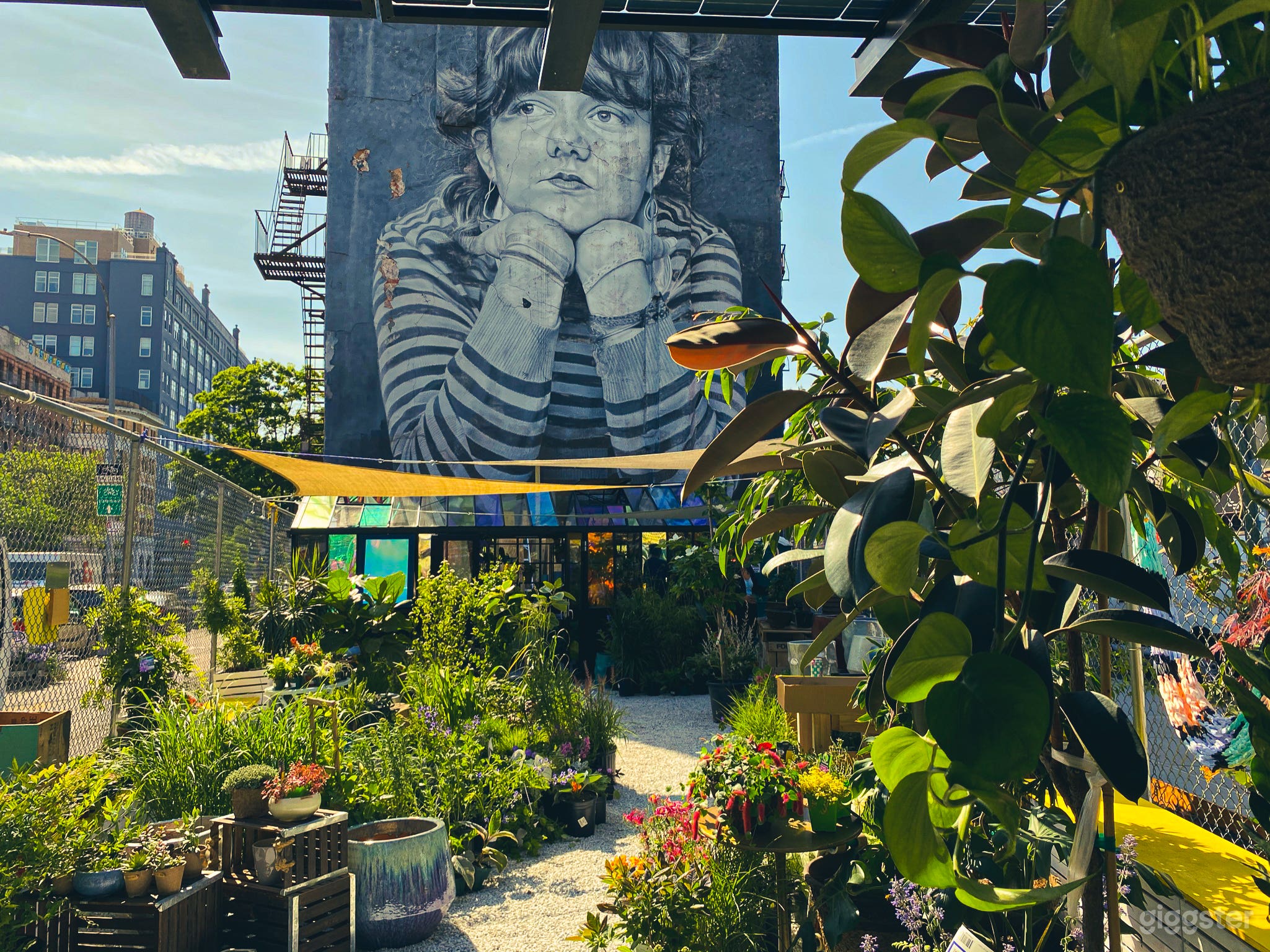 Garden with Greenhouse