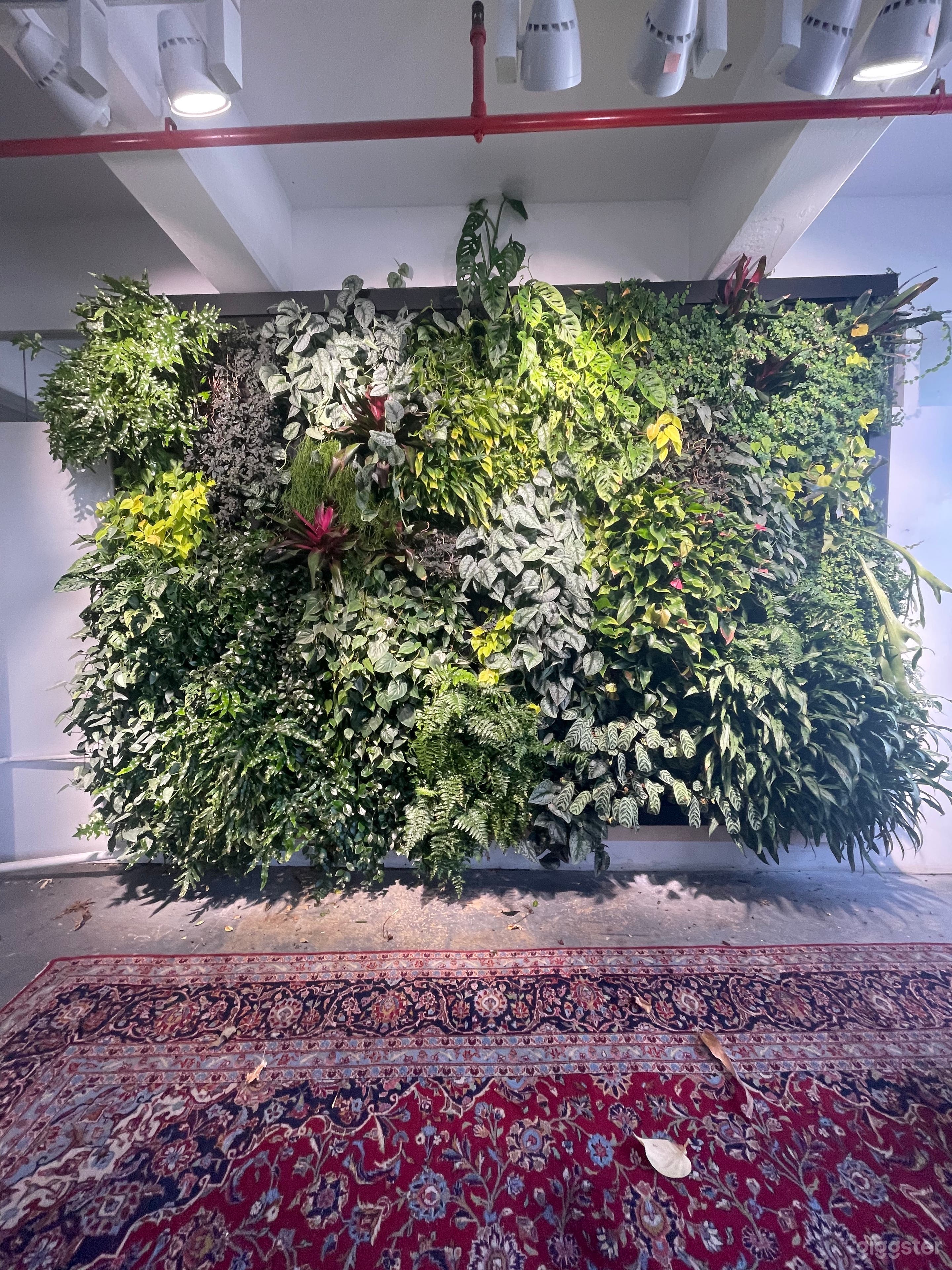 Studio Featuring a 9ft Tall Living Plant Wall  Photo 3
