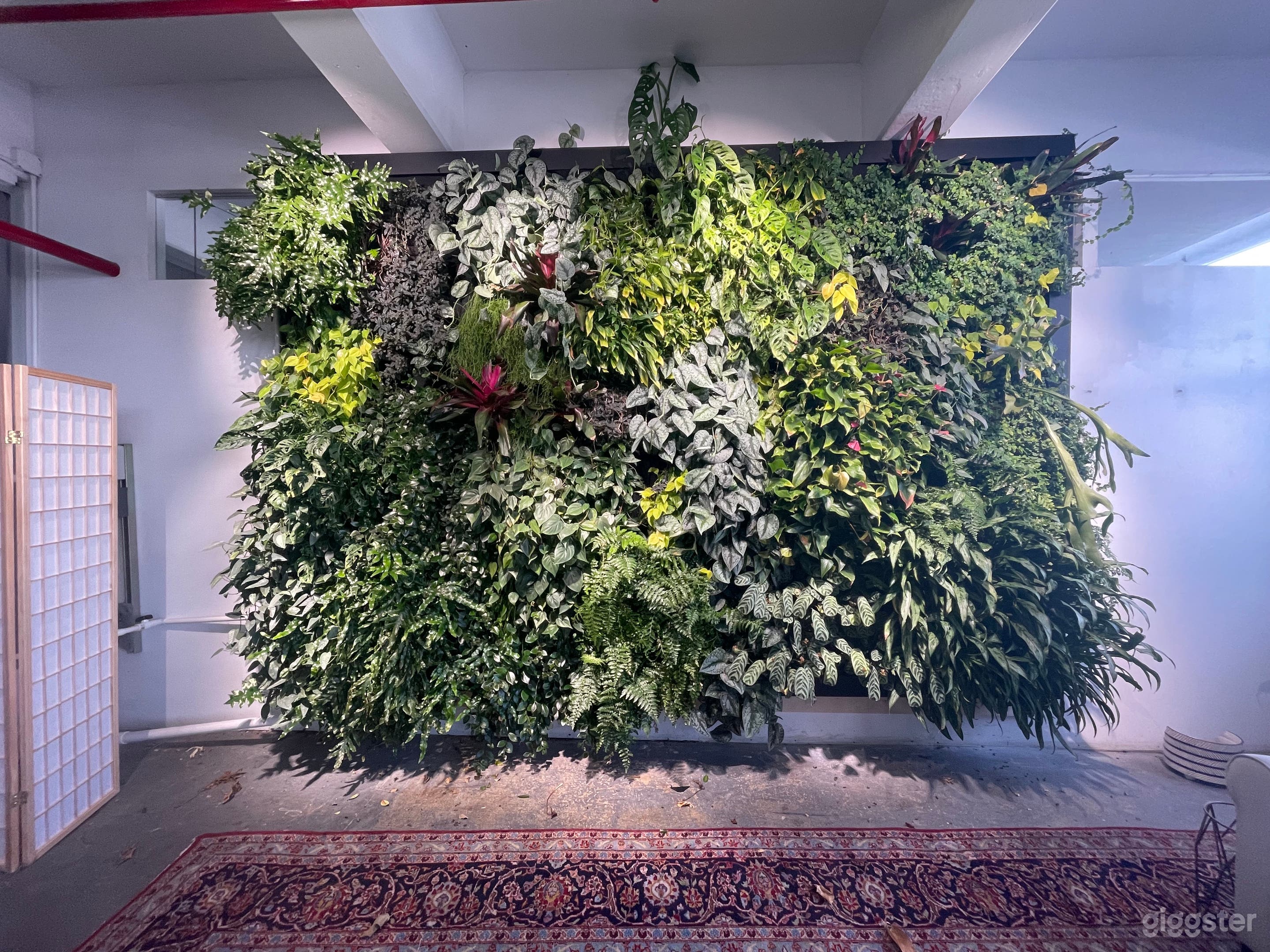 Studio Featuring a 9ft Tall Living Plant Wall  Photo 2