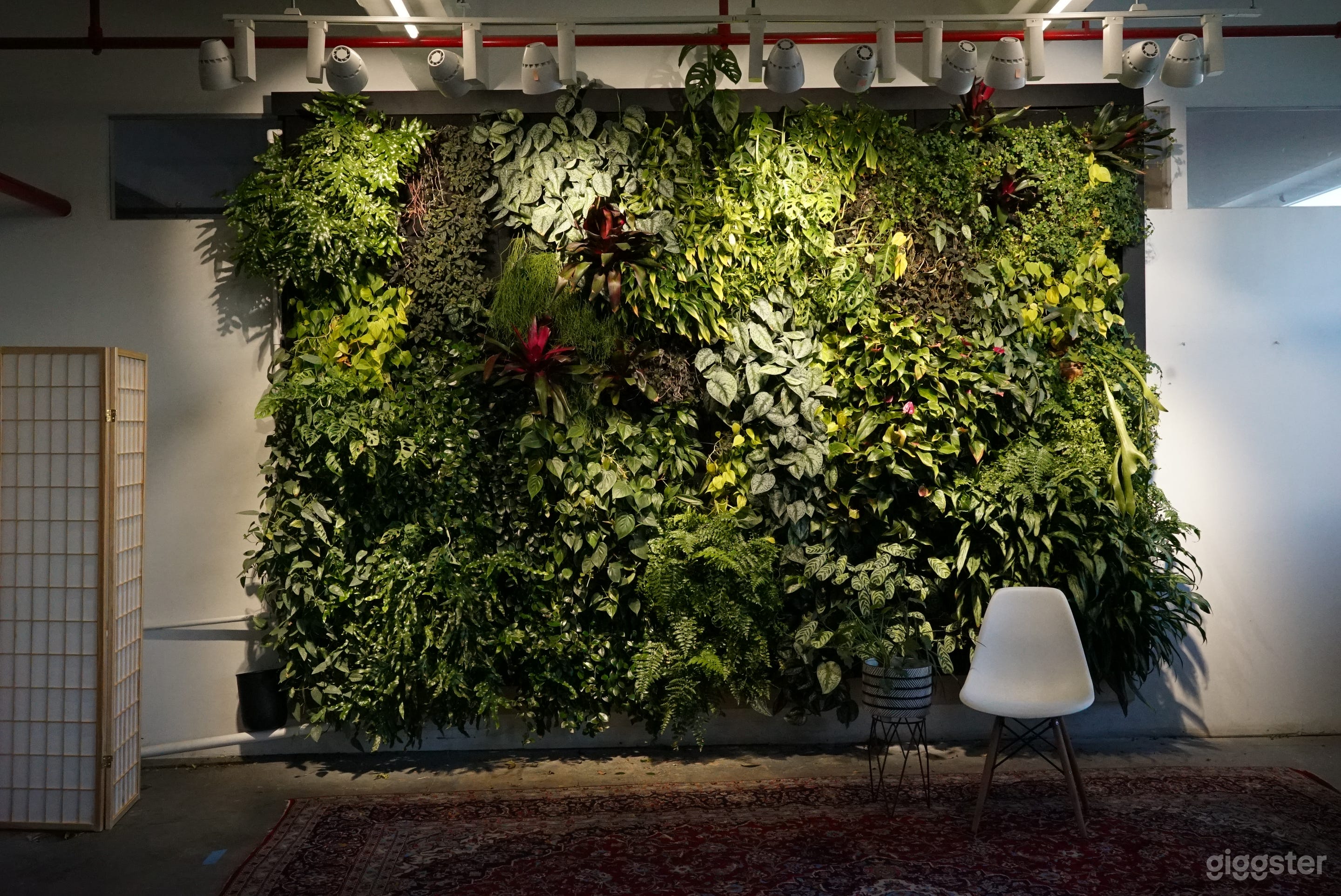 Studio Featuring a 9ft Tall Living Plant Wall  Photo 1